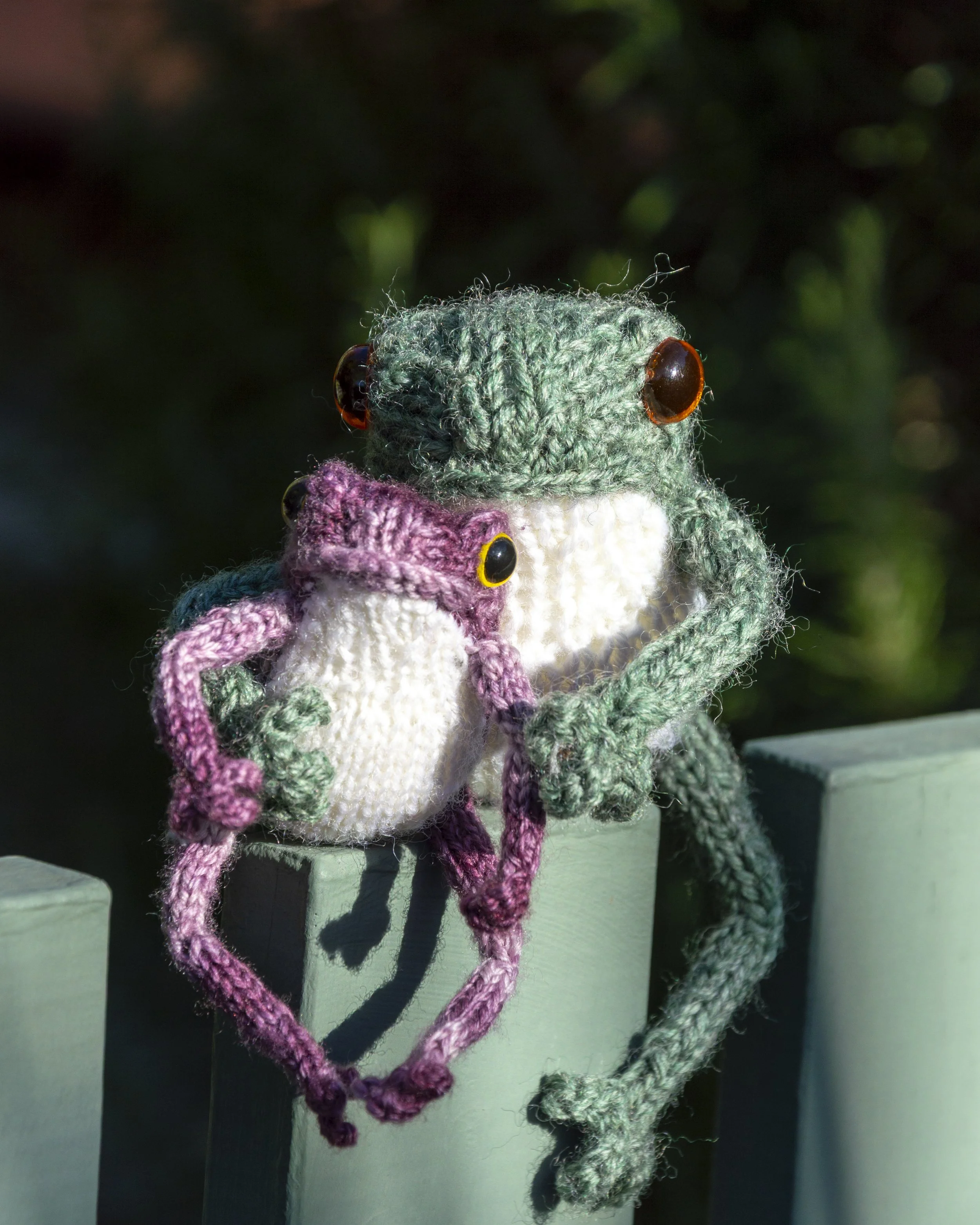 Frogs Size Comparison — Lloyd Handmade
