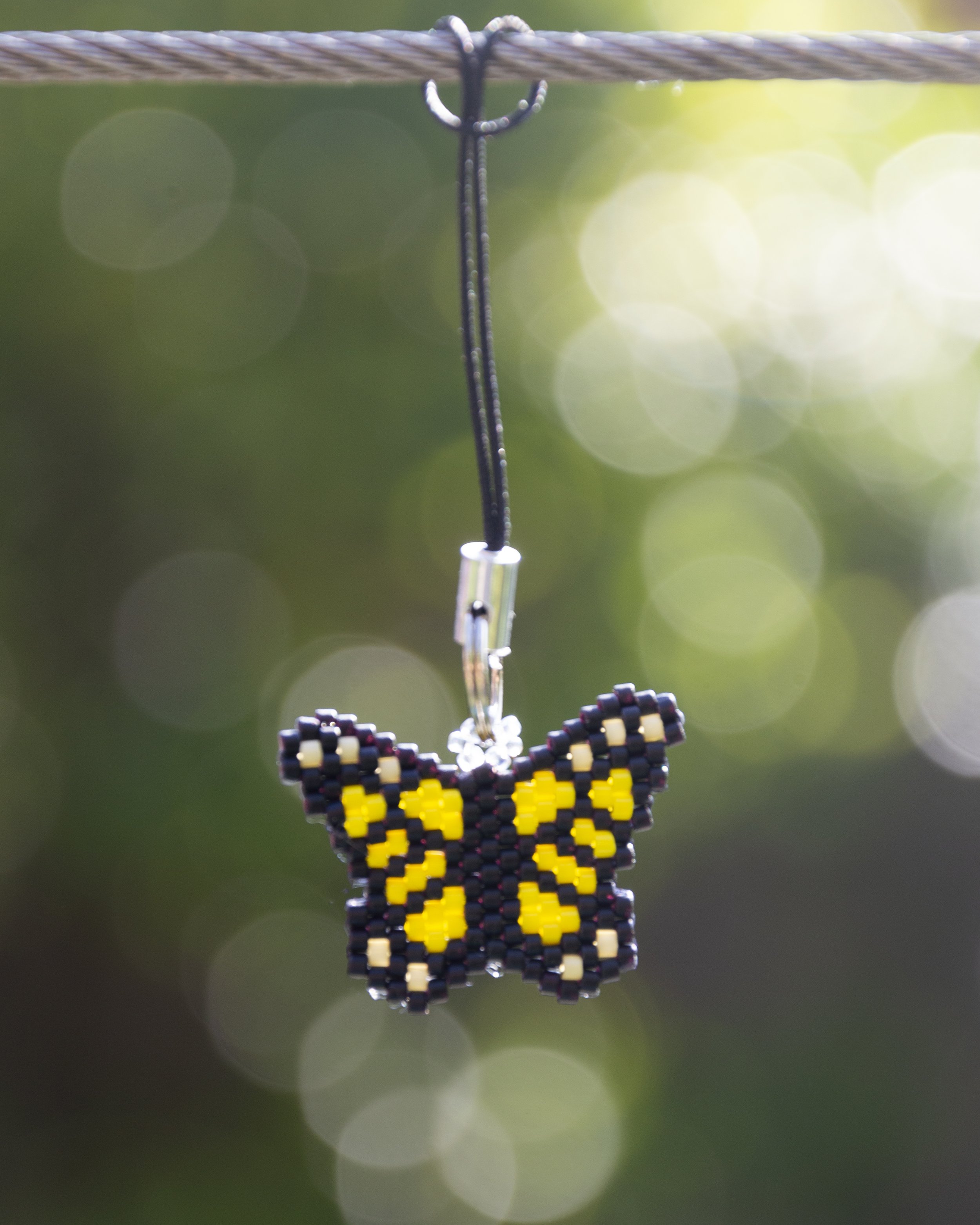 Anna's Butterflies (6).jpg
