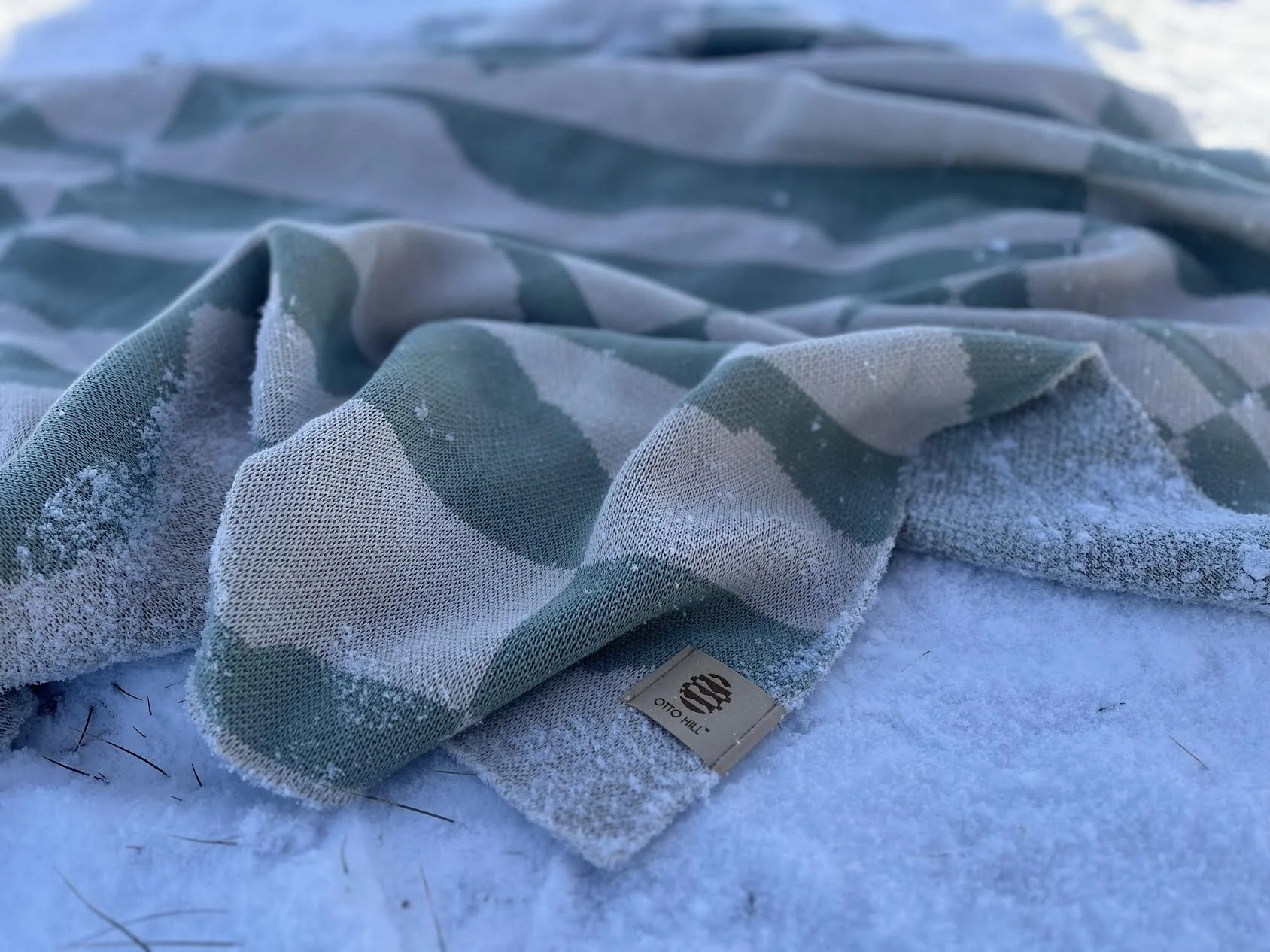 Trail Ridge Sage Brush