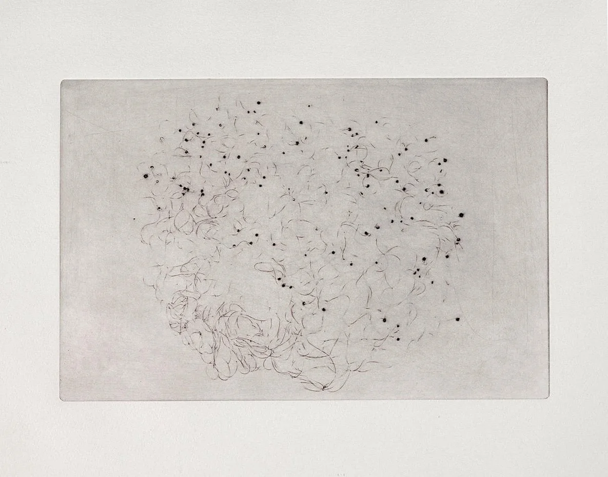 LaThoriel Badenhausen