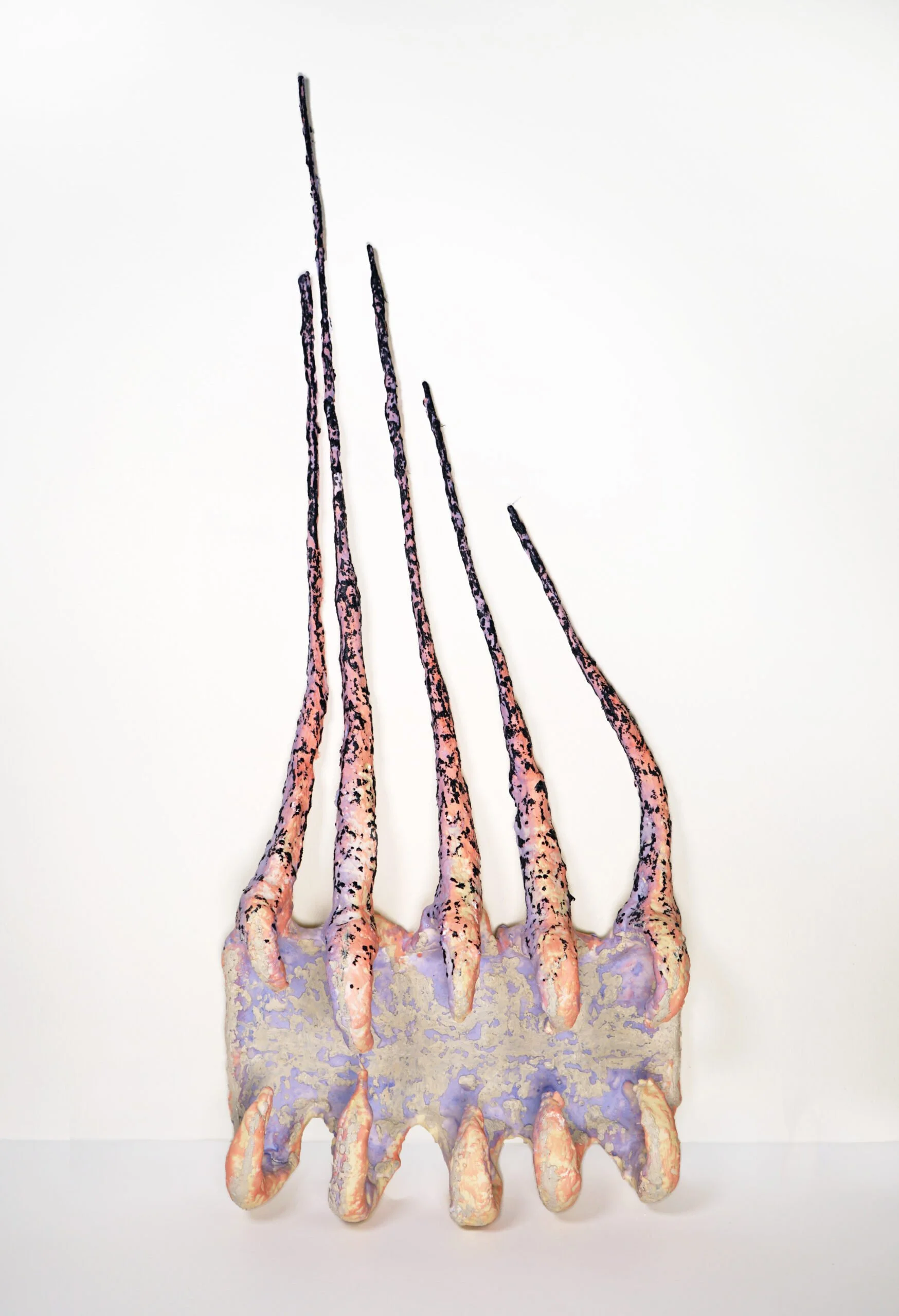 curl-climb - carrie R.jpeg