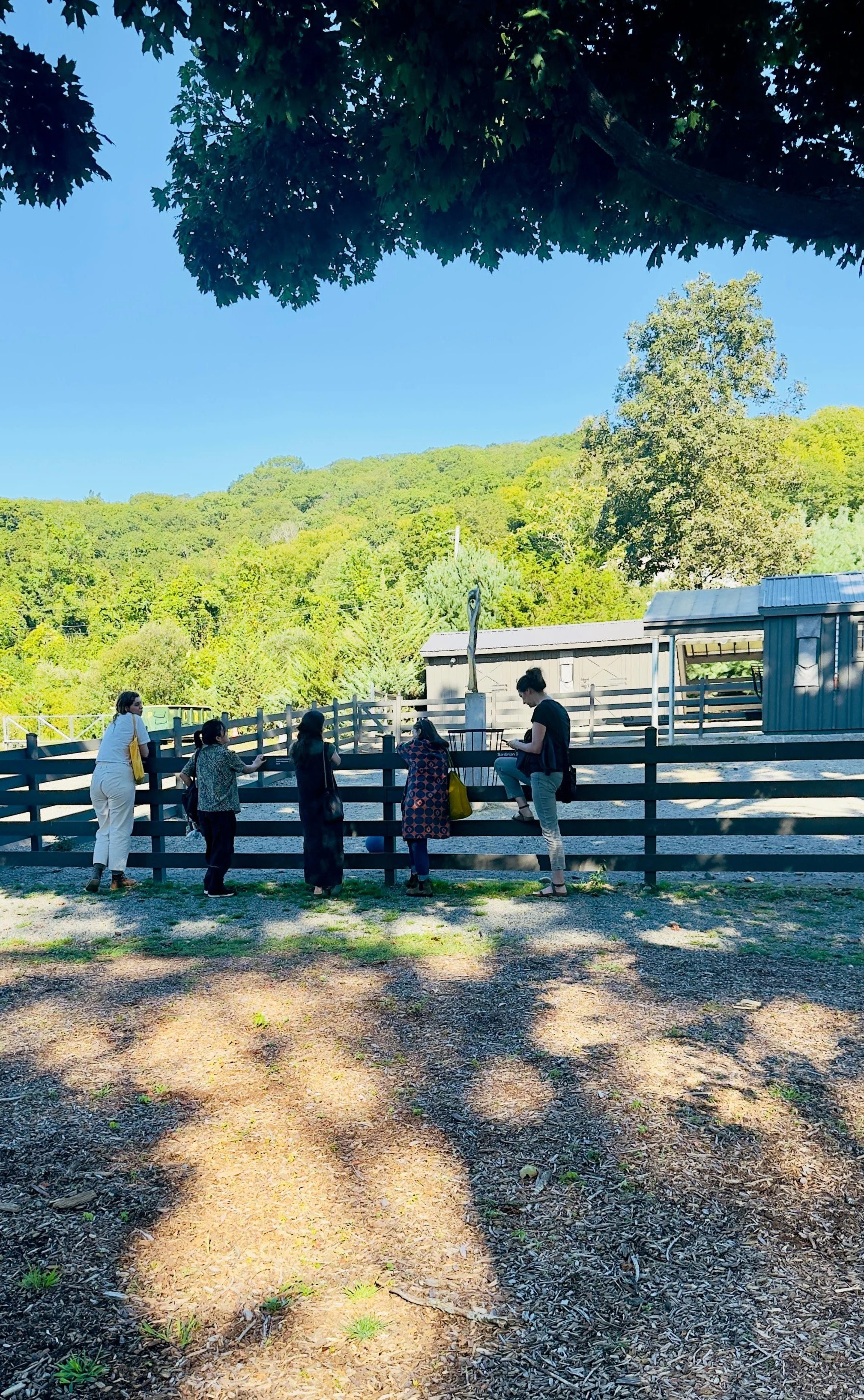 Field trip to Magazzino Italian Art