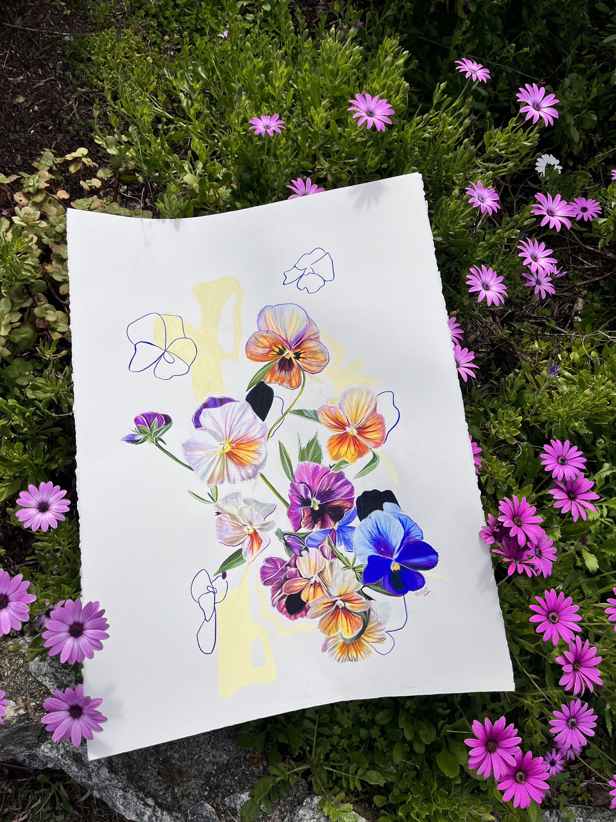 pansies