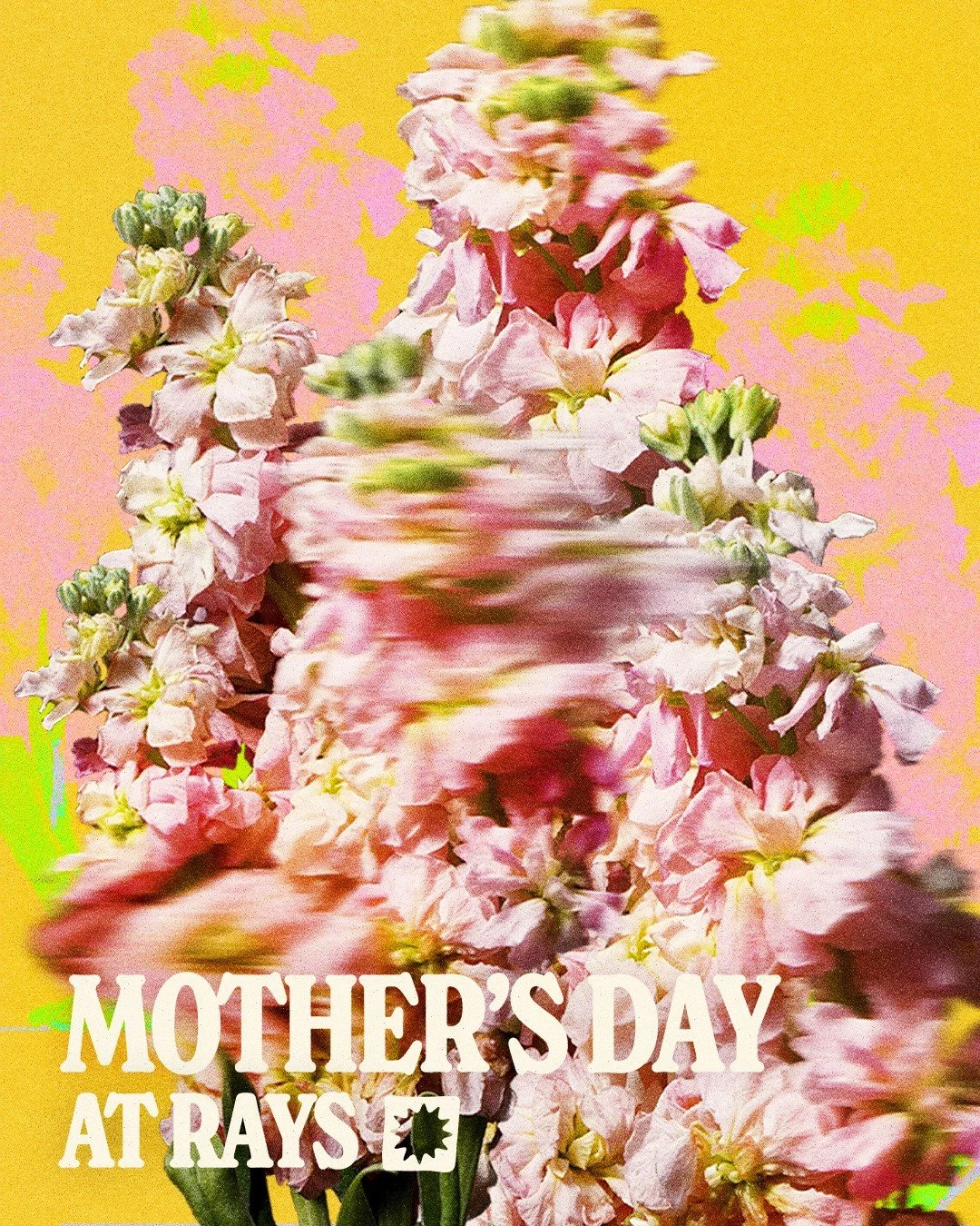 hang out with us at rays this mother&rsquo;s day and we&rsquo;ll treat her to a complimentary LATTA vino or alpino prosecco when you book a table.

we&rsquo;ve also made a couple of new cocktails just for the occasion! book a table now via our websit