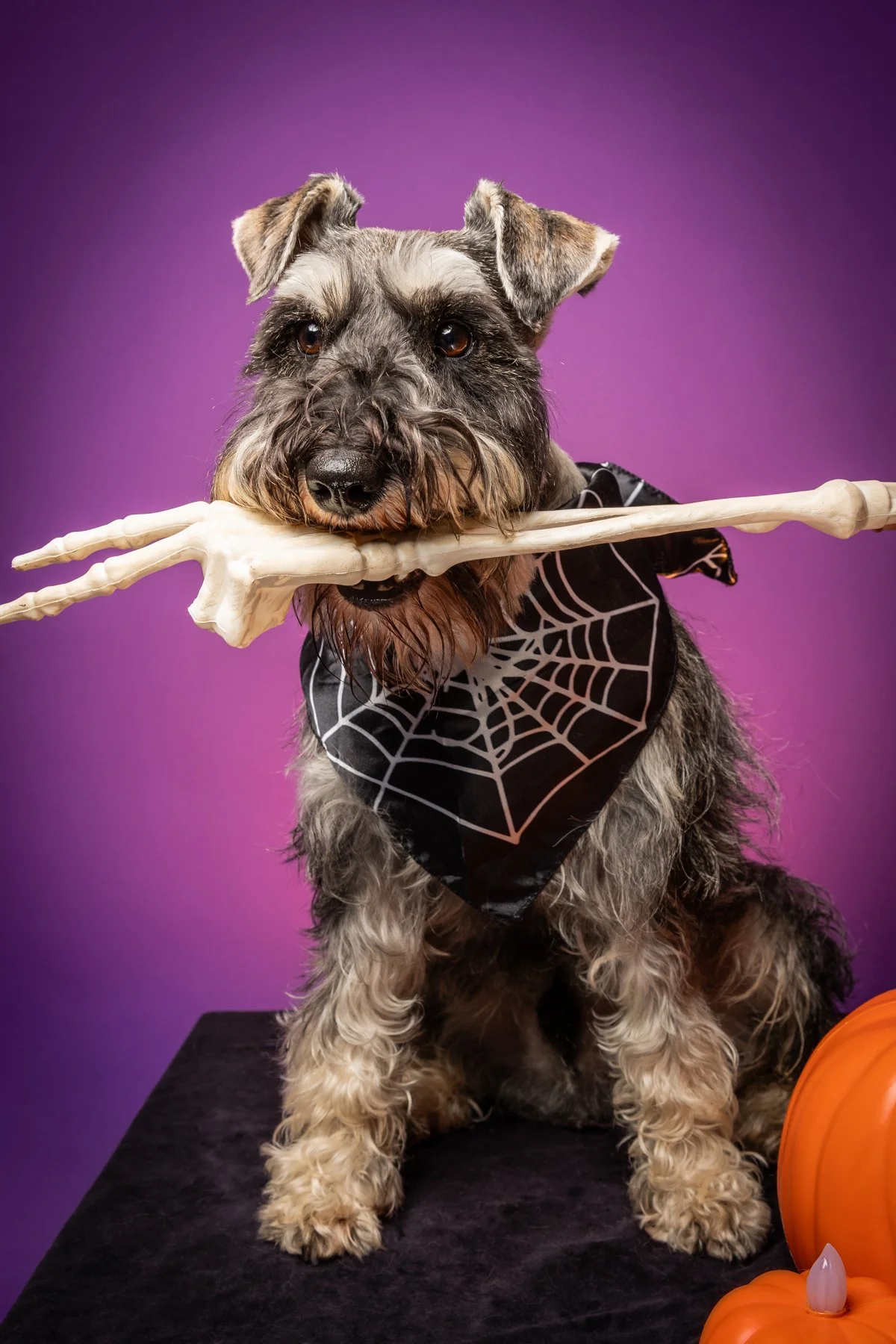 Halloween 2026-10.jpg