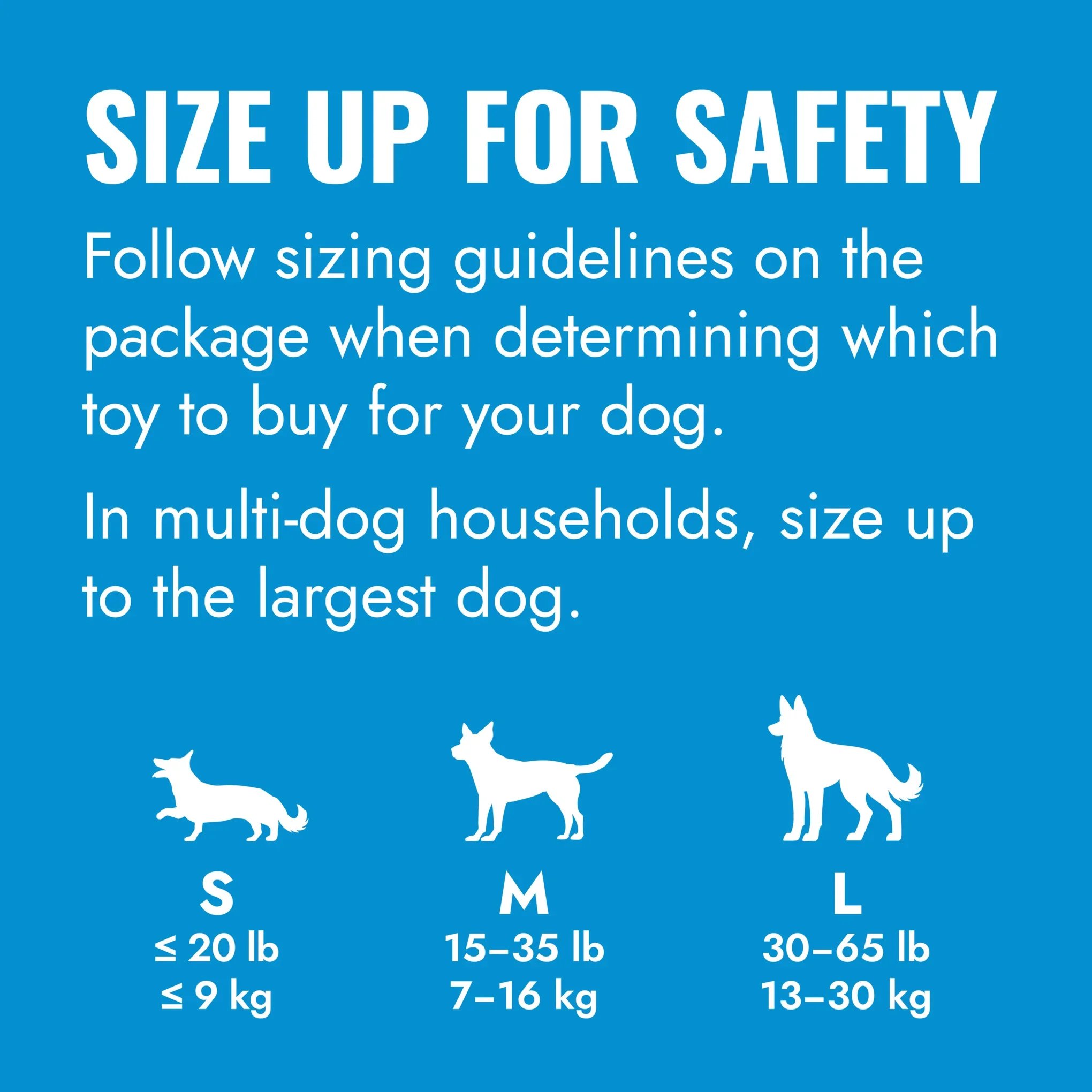 KONG_Puppy_Size_Up_Safety_Education_AUS.jpg.webp
