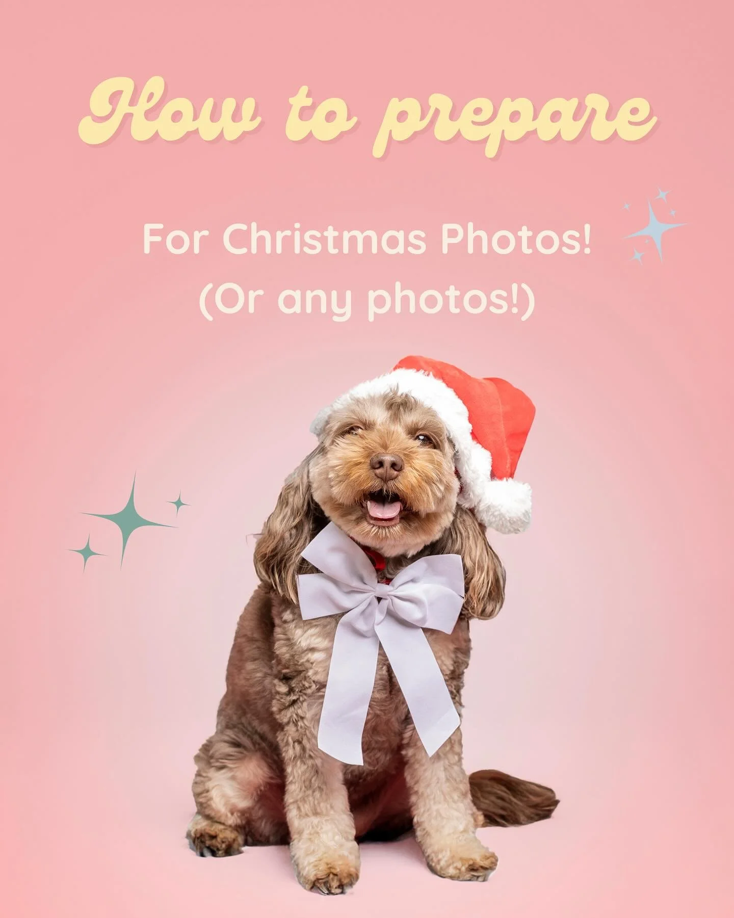 Getting ready for Christmas photos? 🎄📸 Save these handy tips for your Santa sessions! A little prep goes a long way... Pack a few treats, get the wiggles out and keep things calm and positive. The more relaxed you are, the more relaxed your dog wil