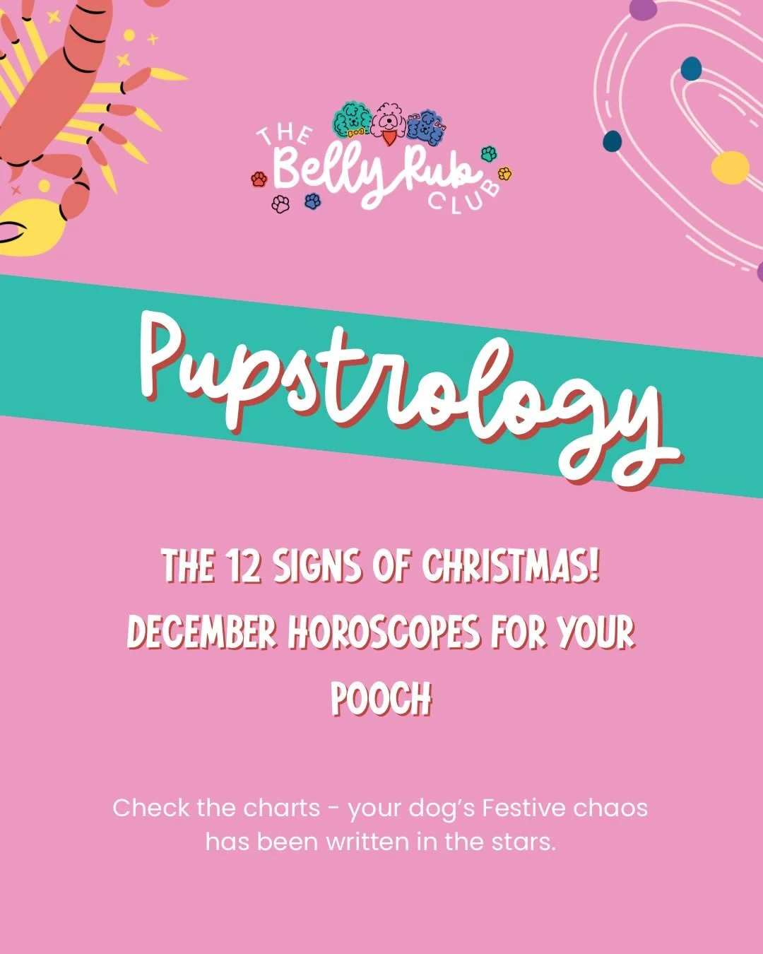 Your dog&rsquo;s December chaos is here! 
Twelve signs.
Twelve festive personalities.
Which one is your pooch? Share this with their bestie and then start preparing for all the Christmas Chaos.