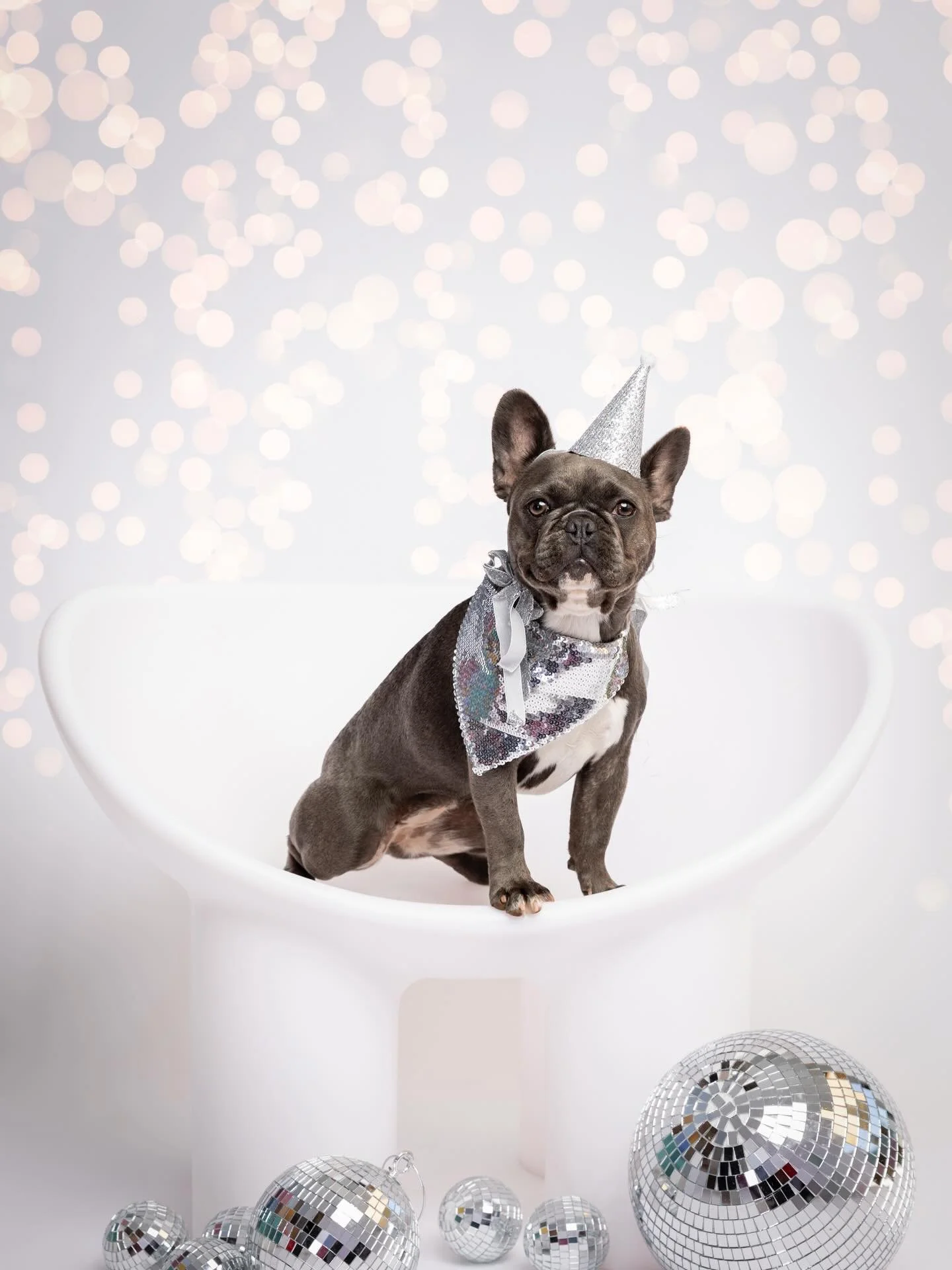 Happy 2026! New year, same dogs, still stealing the spotlight. 🪩🐶 Here&rsquo;s to more sparkle, sass, and four-legged chaos. 🐾✨ 

As we head into New Year&rsquo;s Eve, a gentle reminder to keep our pups safe and settled during fireworks:

&bull; K