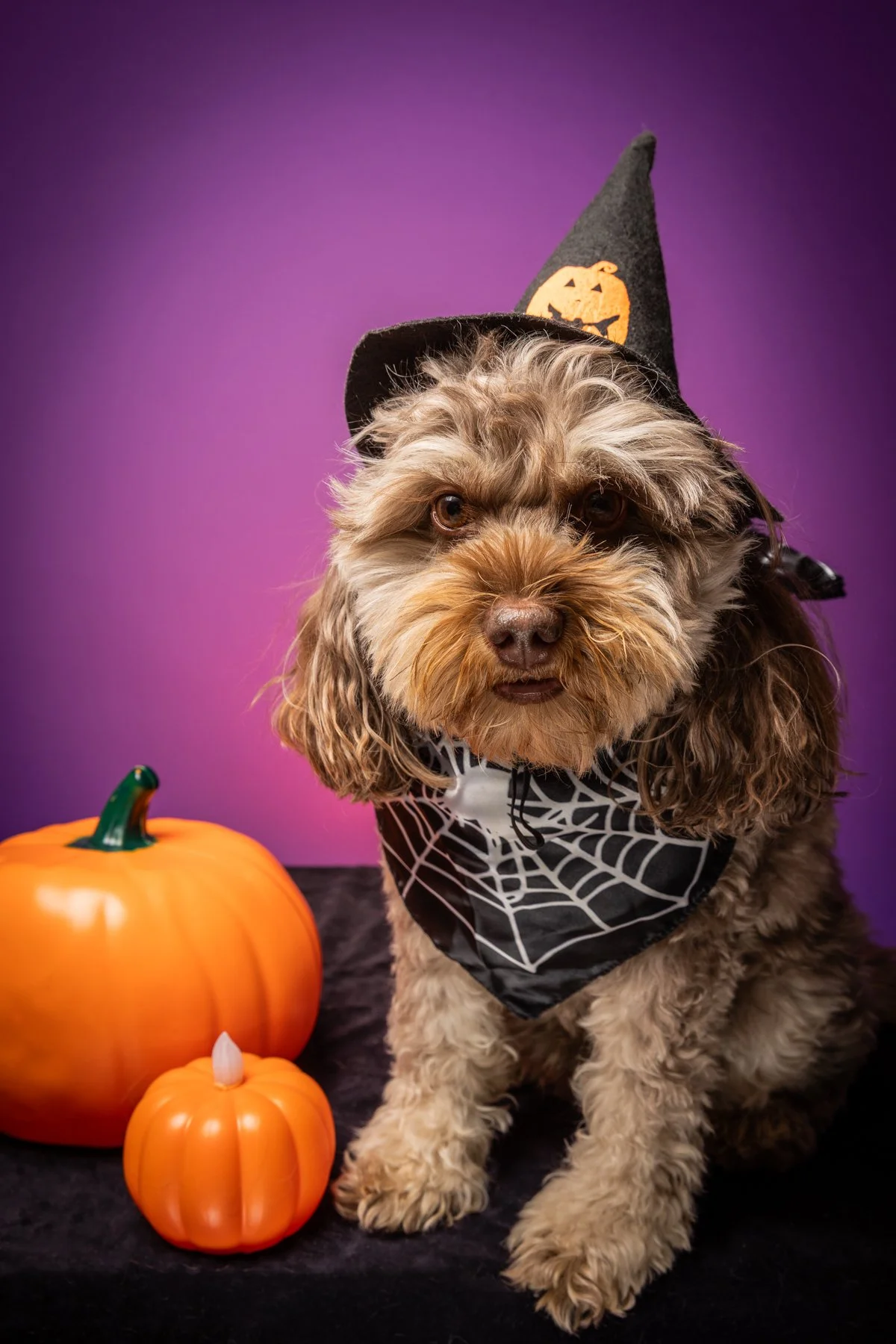 Halloween 2026-15.jpg