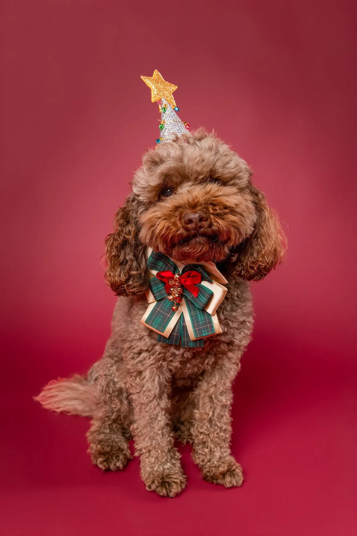 Xmas 2026-22.jpg