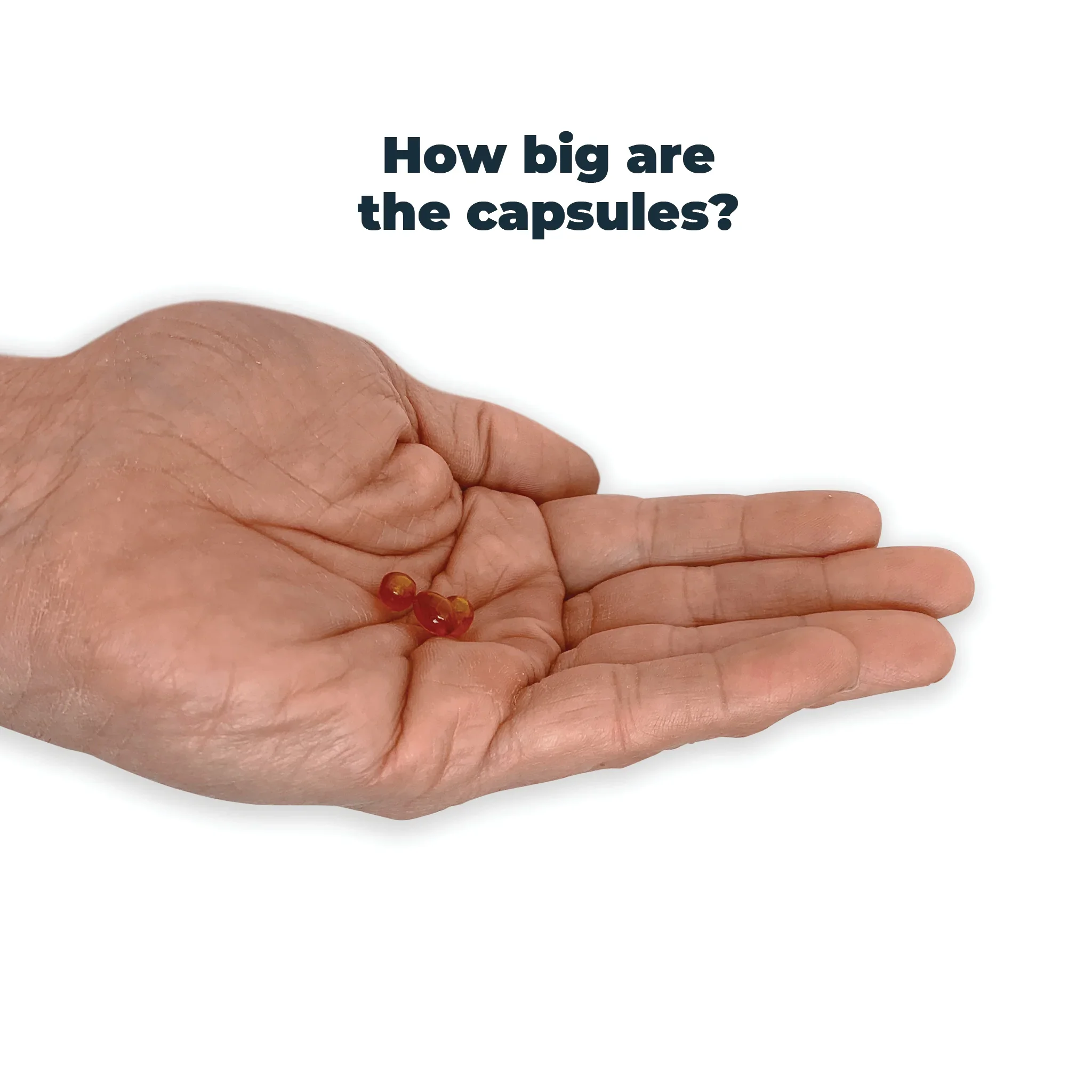 Antinol_Capsule_Size_2_2048x.jpg.webp