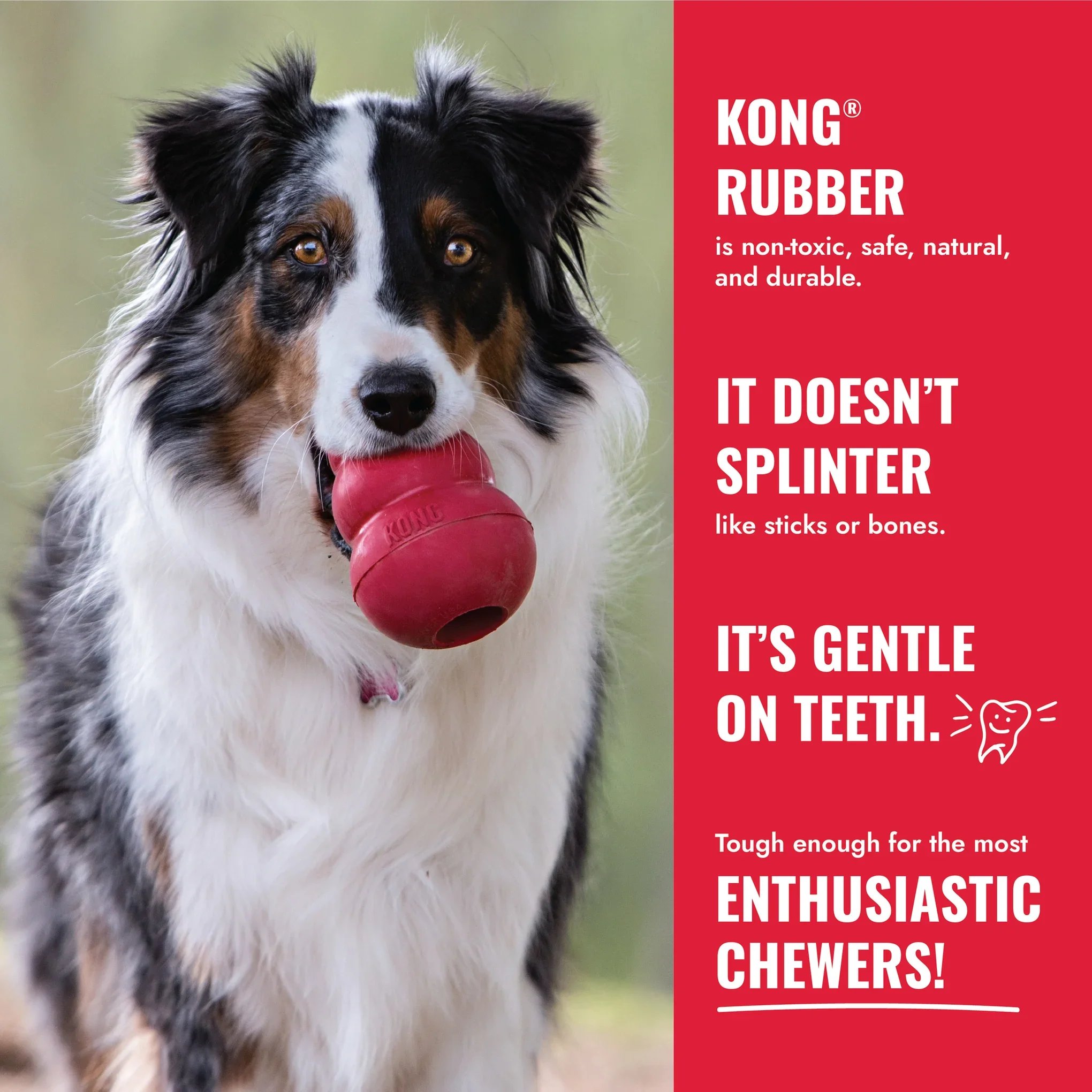 8-kong-classic-dog-toy.jpg.webp