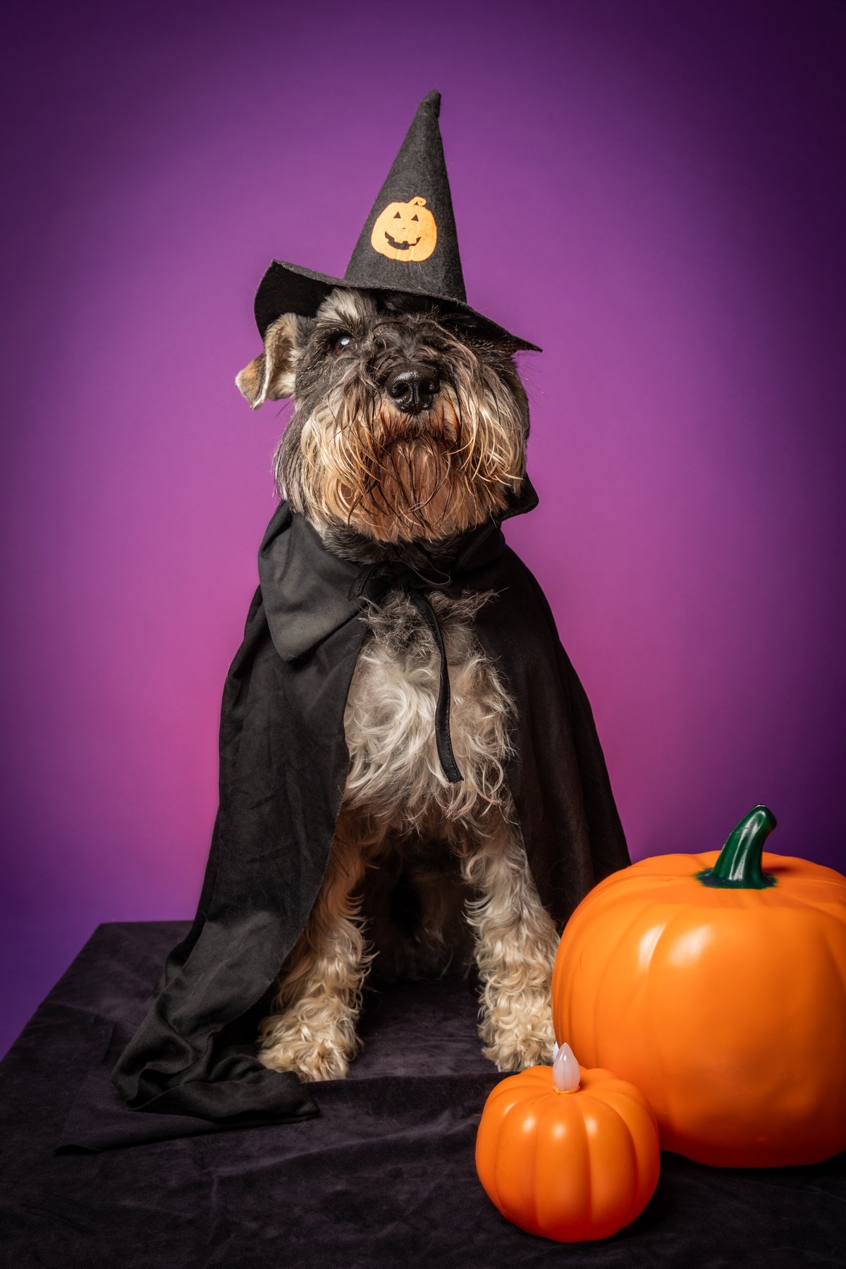 Halloween 2026-7.jpg