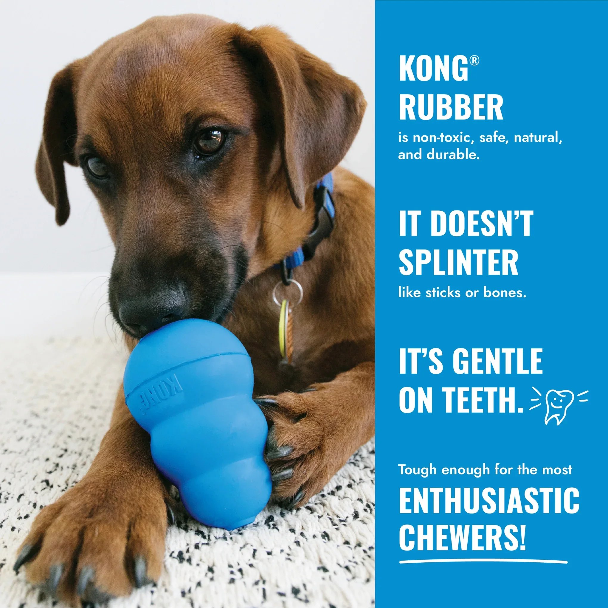 37-kong-puppy-dog-toy.jpg.webp