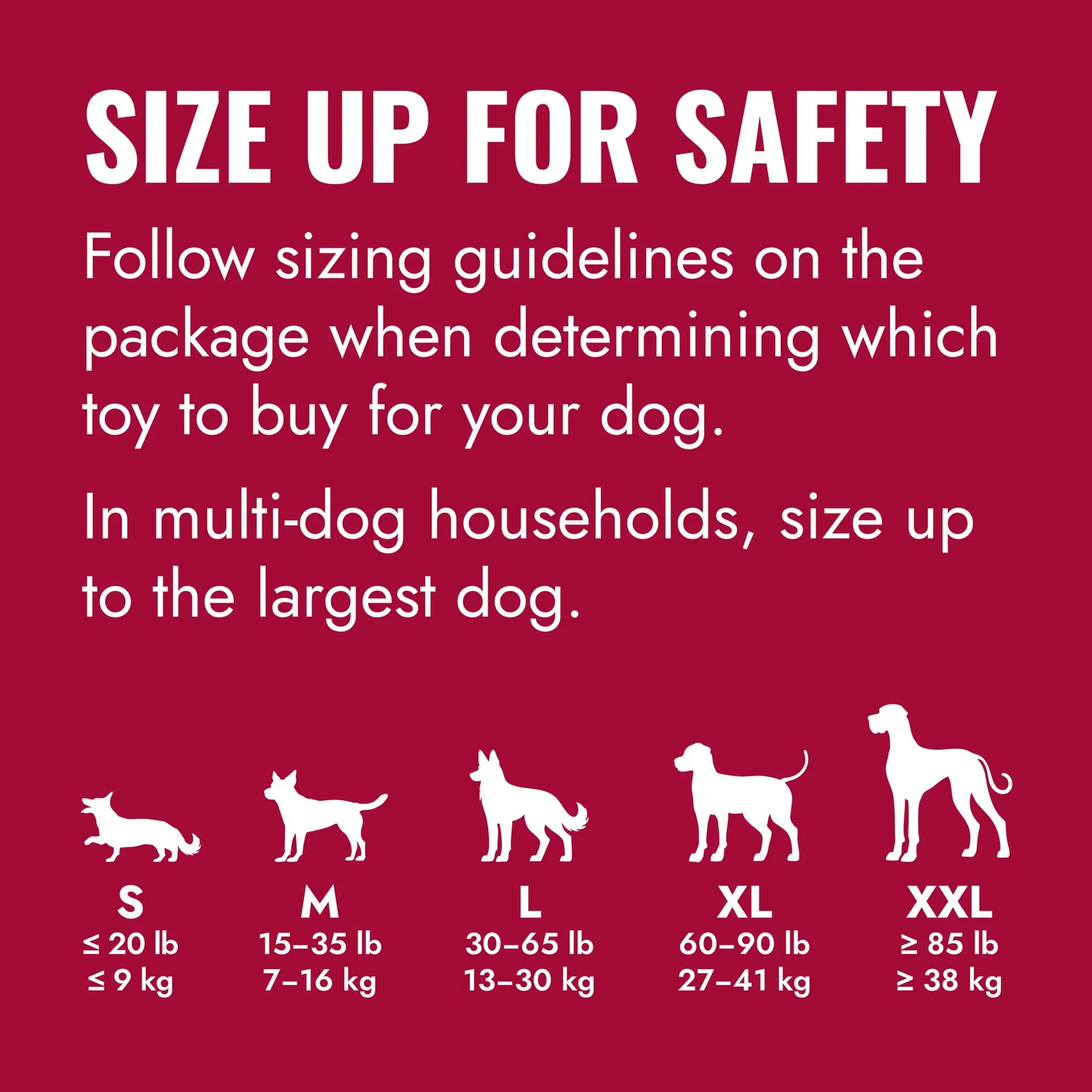 KONG_Classic_Size_Up_Safety_Education_AUS.jpg.webp