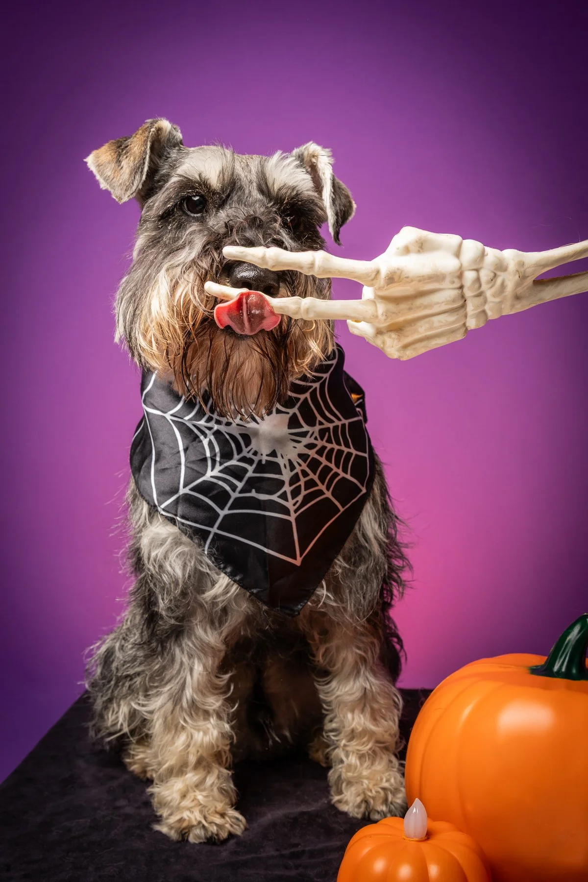 Halloween 2026-12.jpg