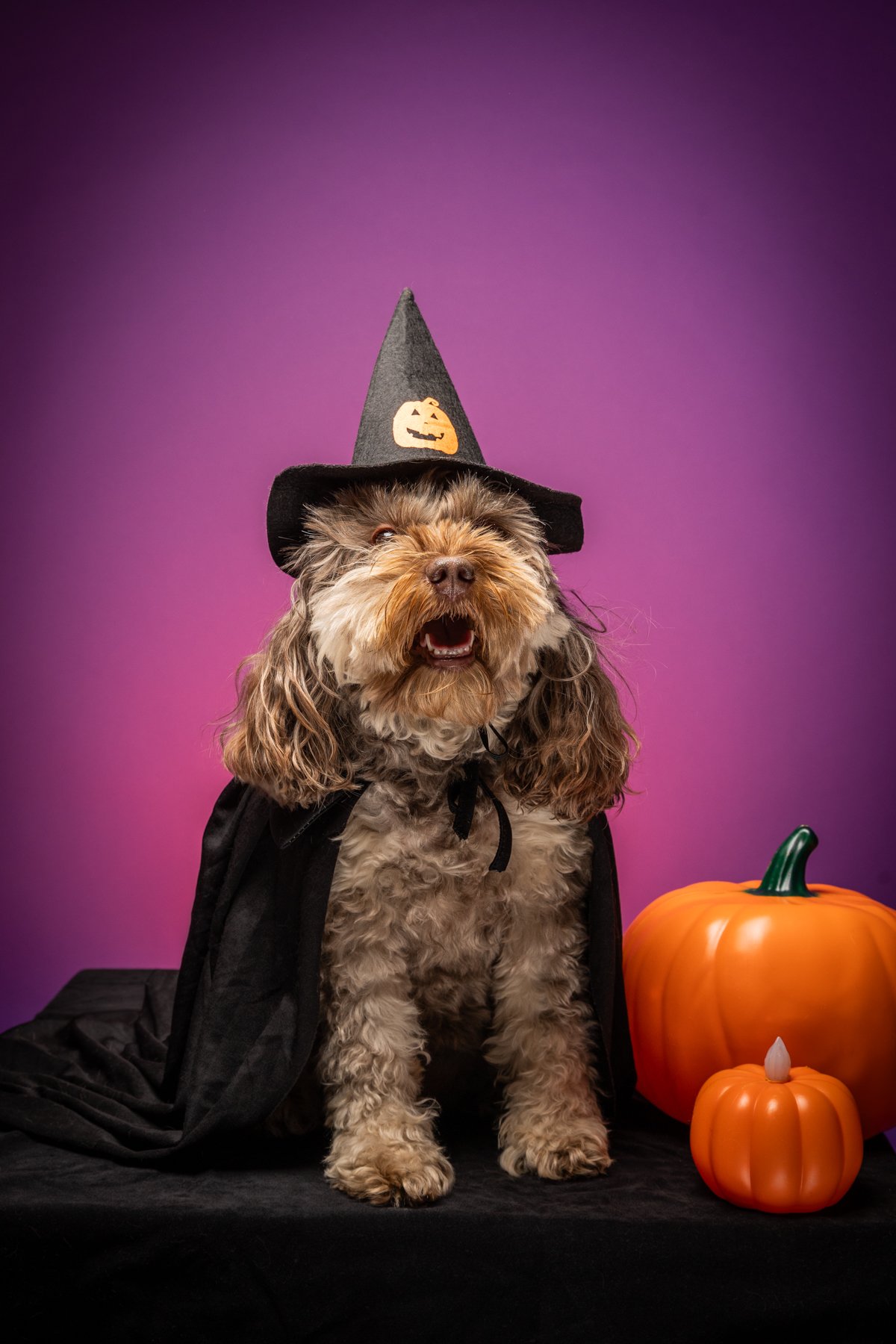 Halloween 2026-1.jpg