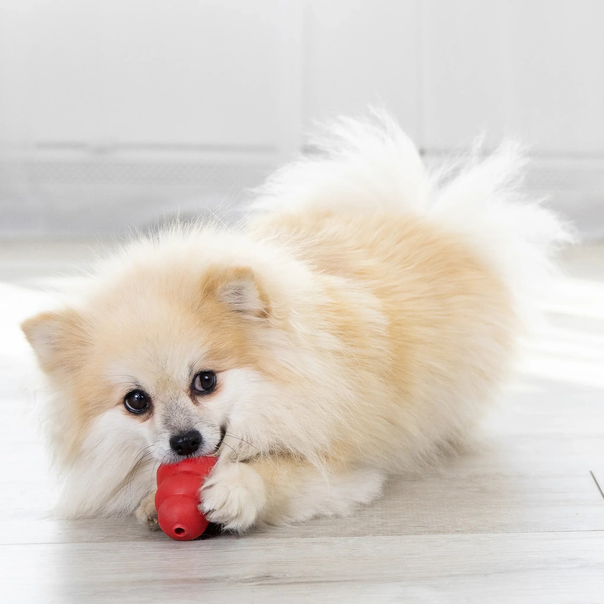 11-kong-classic-dog-toy.jpg.webp
