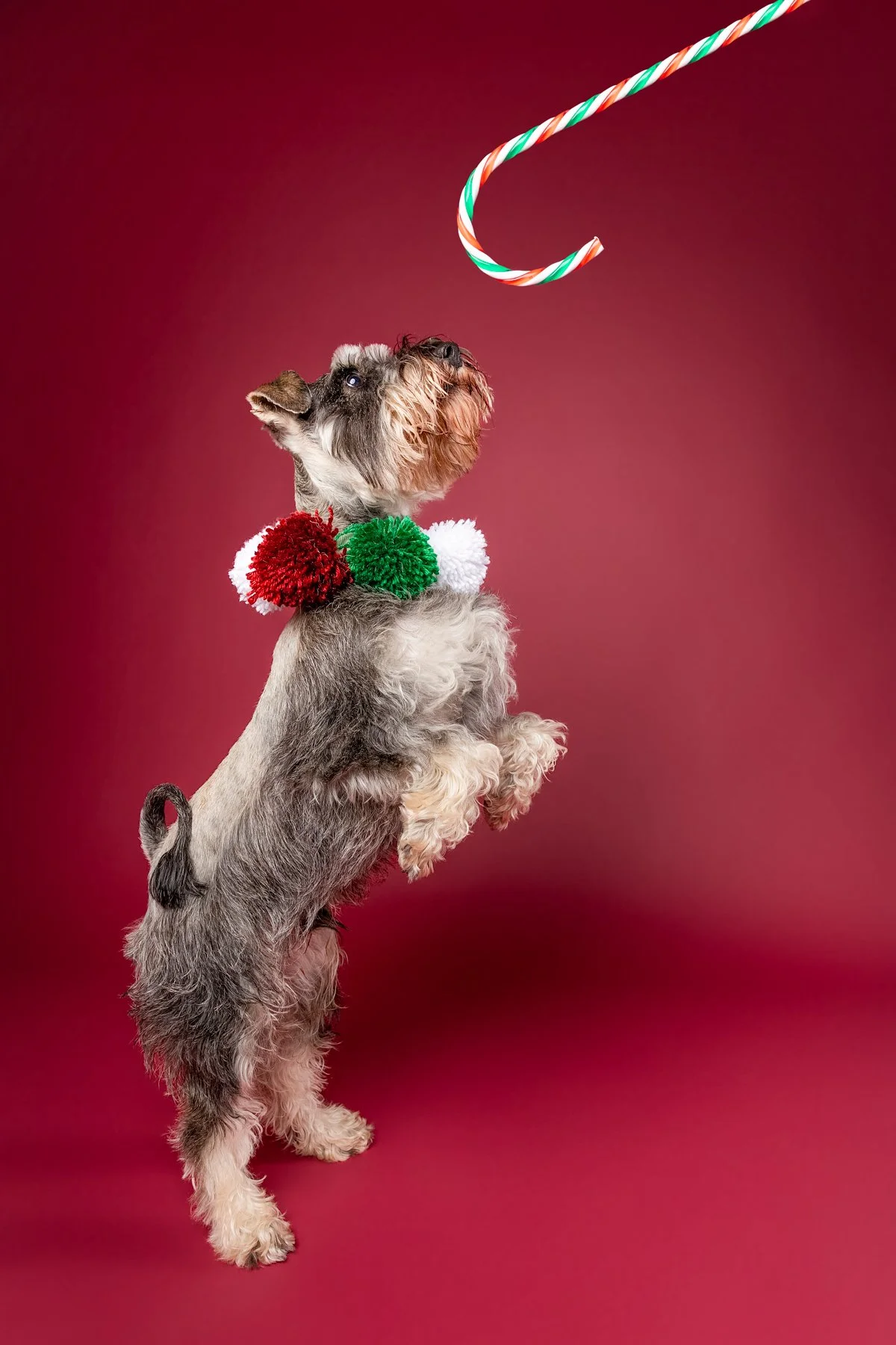 Xmas 2026-29.jpg