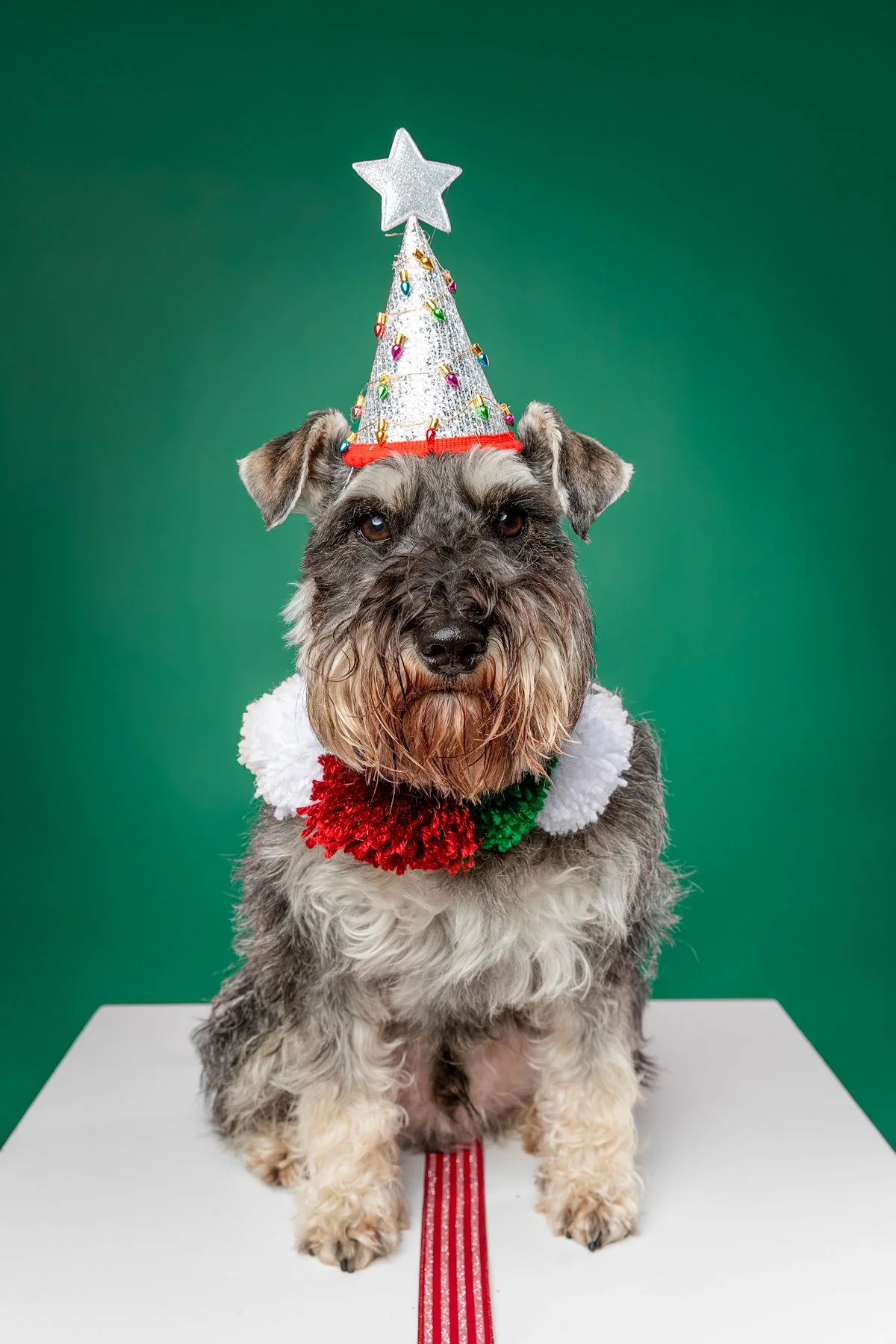 Xmas 2026-6.jpg