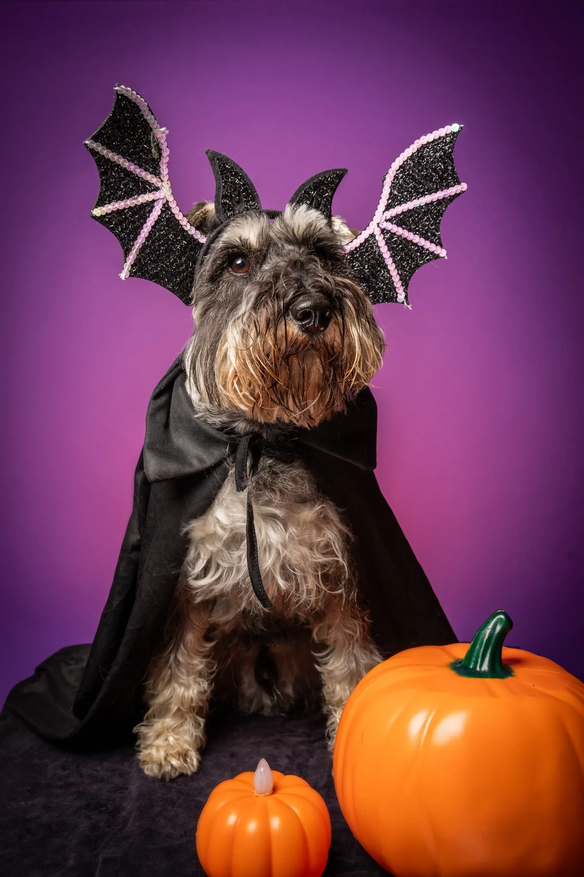 Halloween 2026-5.jpg
