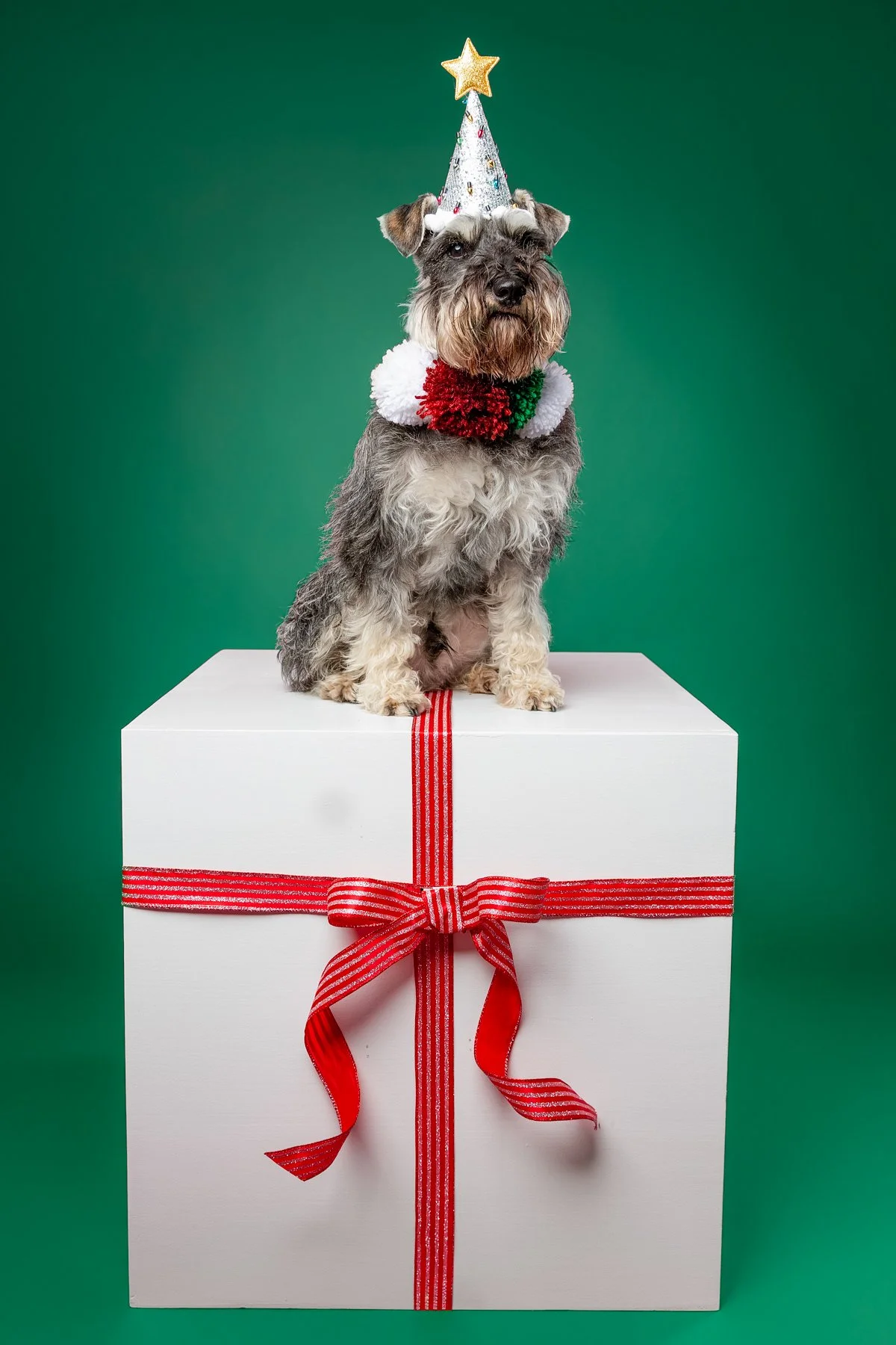 Xmas 2026-3.jpg