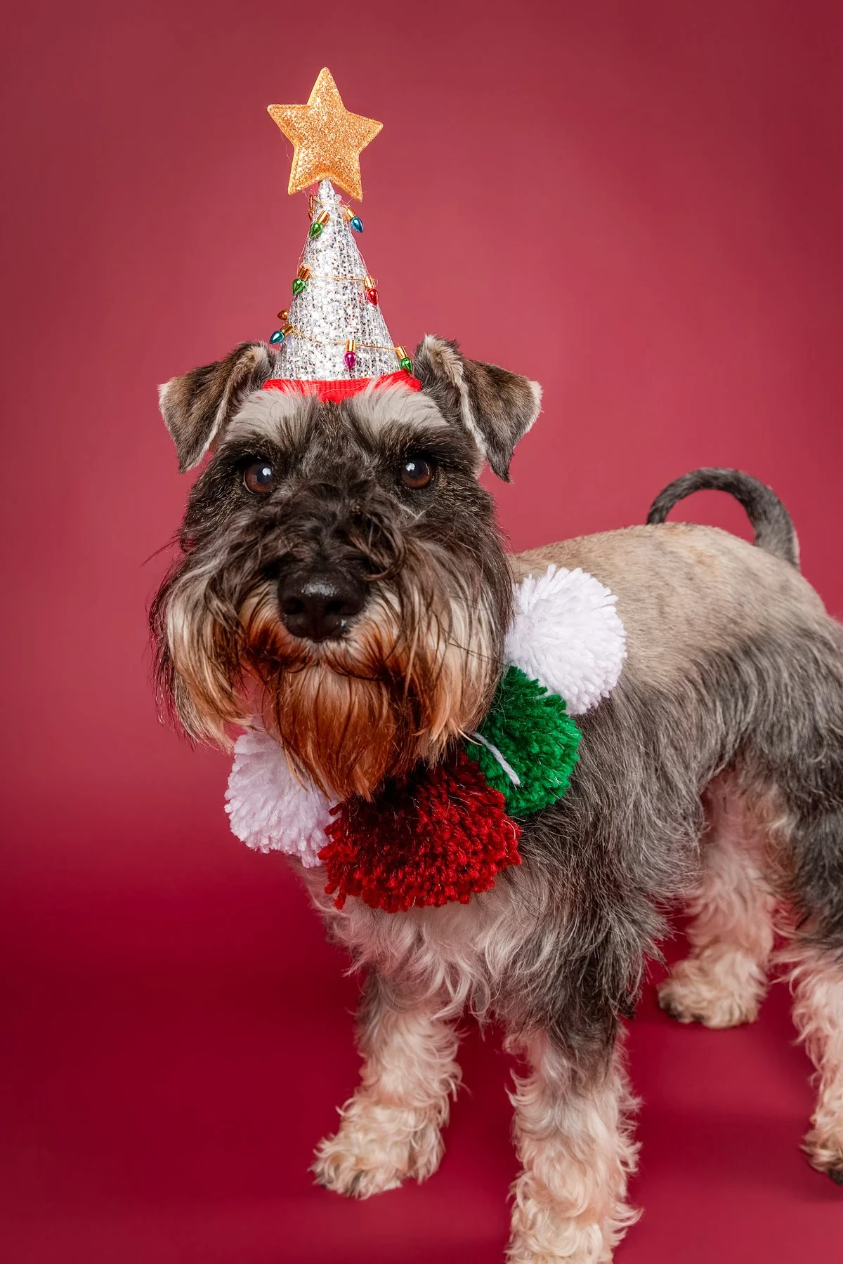 Xmas 2026-32.jpg
