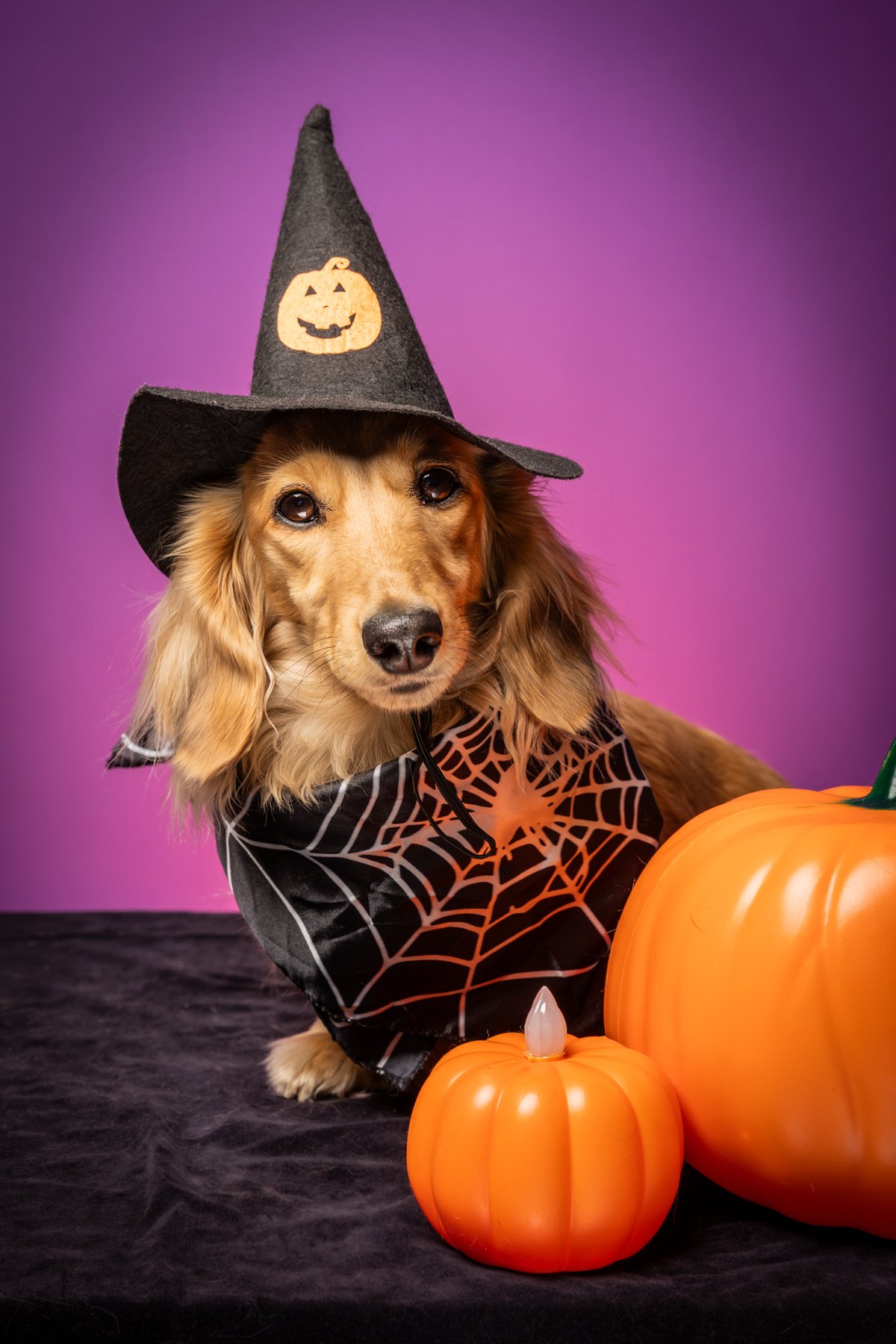 Halloween 2026-3.jpg