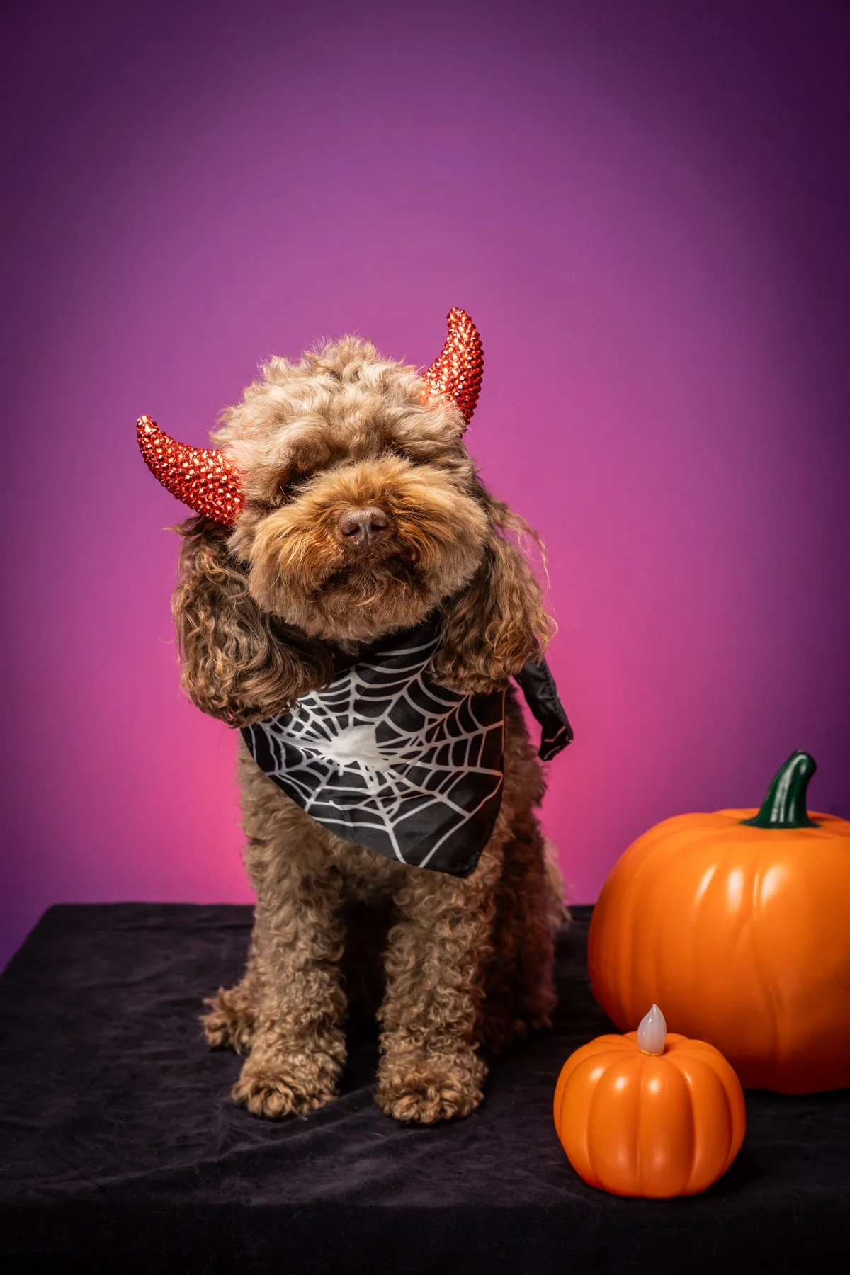 Halloween 2026-2.jpg