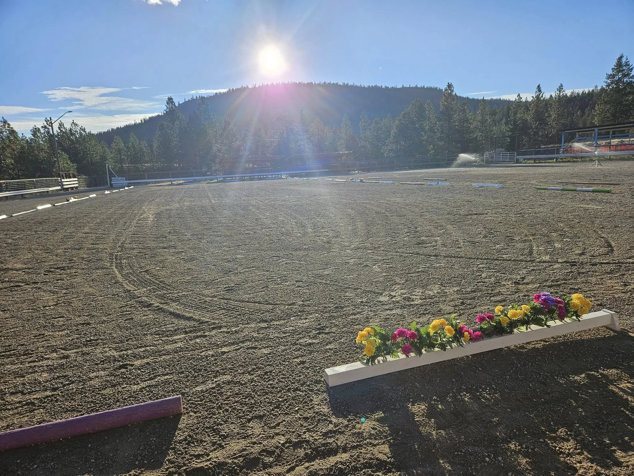 Dressage Test Day