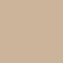 Red Toned Taupe Paint Color.jpg