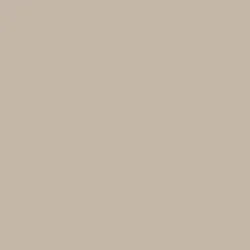 Taupe Paint Color.jpg