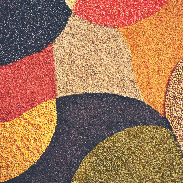 colorful-cereal-seeds-background-abstract-backgro-2023-11-27-05-03-39-utc Medium.jpeg