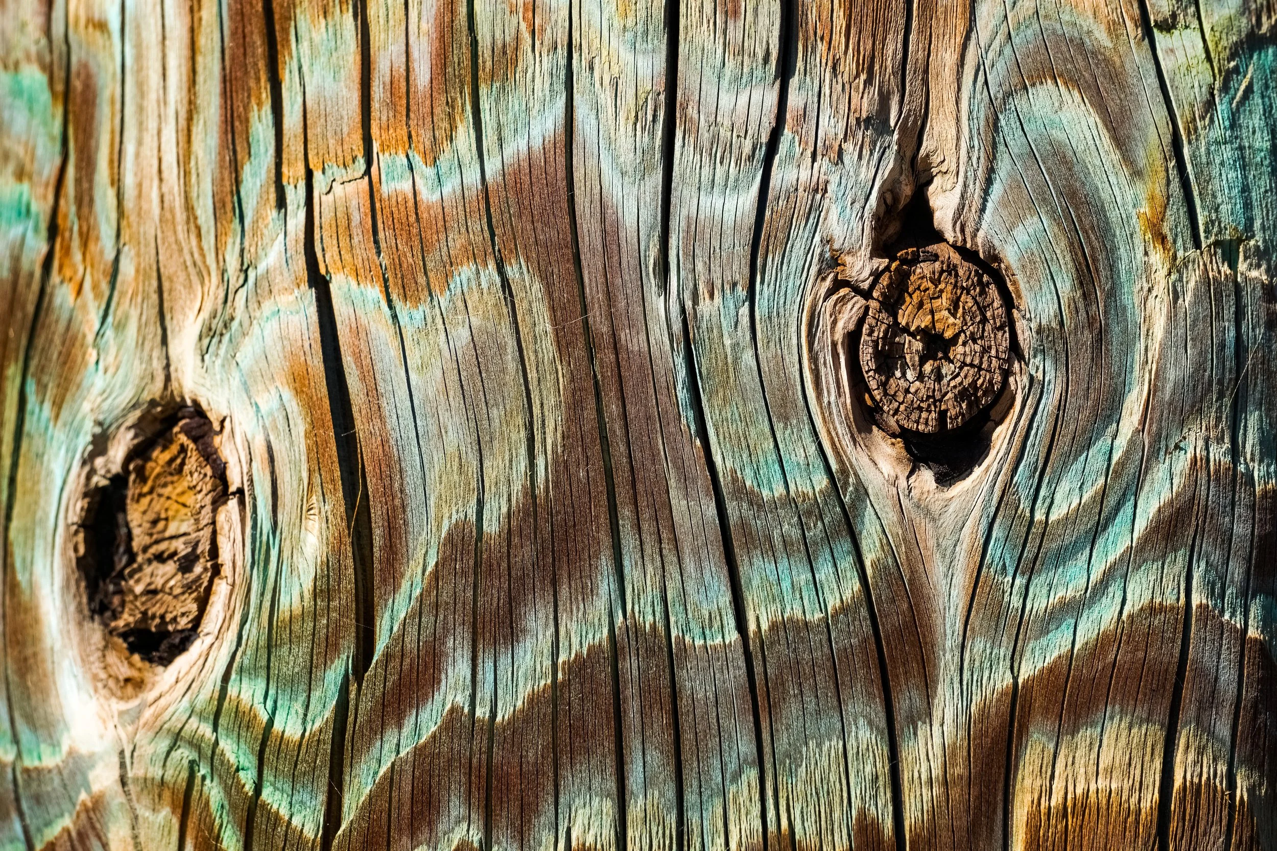 detail-of-a-colorful-old-wooden-post-2023-11-27-04-51-29-utc.jpg