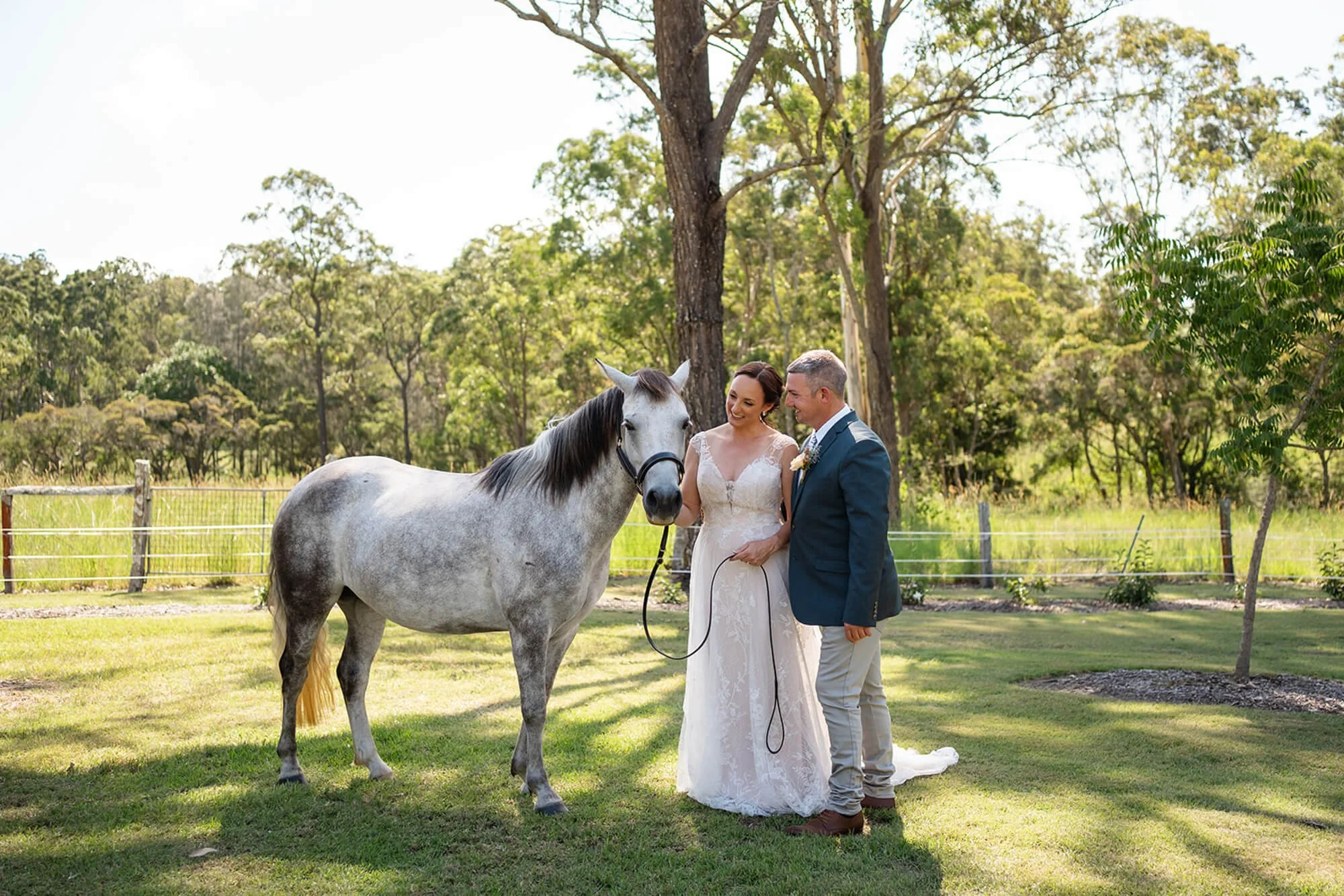 The Barn Port Stephens wedding in the farm with a horse