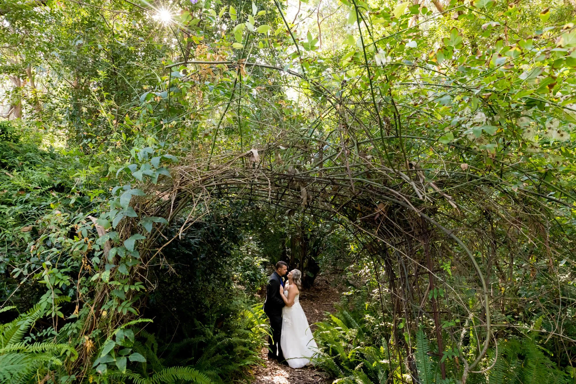 A bride and groom standing on a forest path under a natural arch of twisting vines and branches, sharing an intimate moment surrounded by lush green foliage and sunlight filtering through the trees.