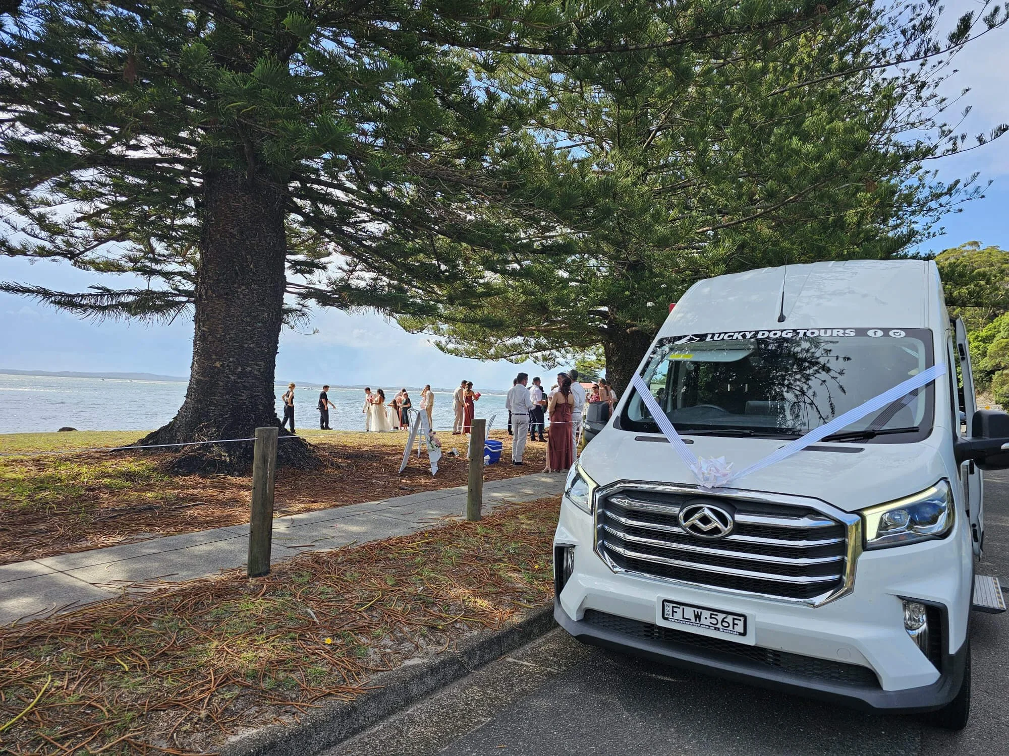 A group of people dressed in formal attire gather on a beach near a large tree, with a body of water in the background. A white van decorated with ribbon, labeled 'Lucky Dog Tours,' is parked nearby.