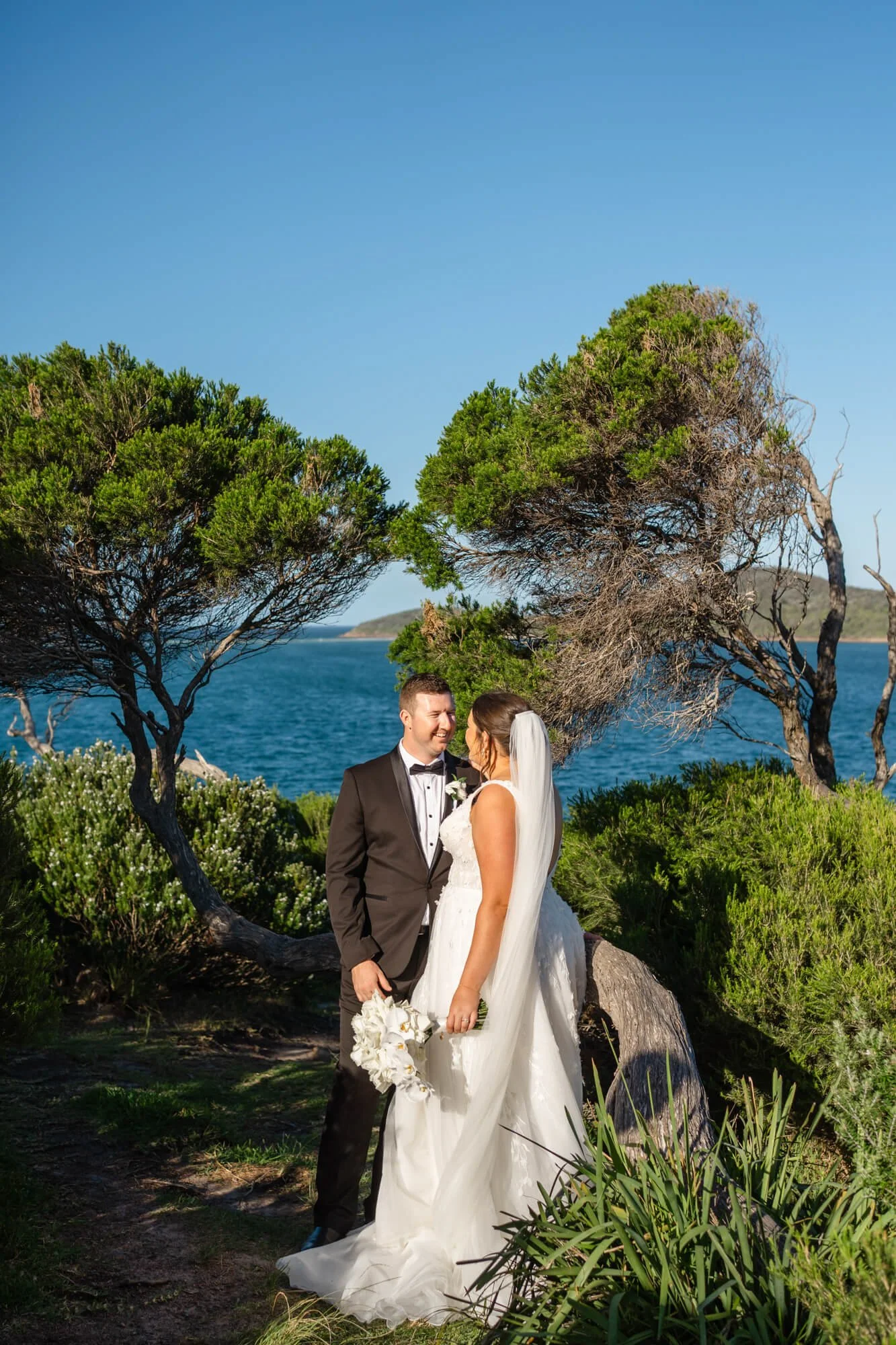 A bride and groom standing on a grassy area near the ocean, surrounded by trees, during their wedding photo shoot.