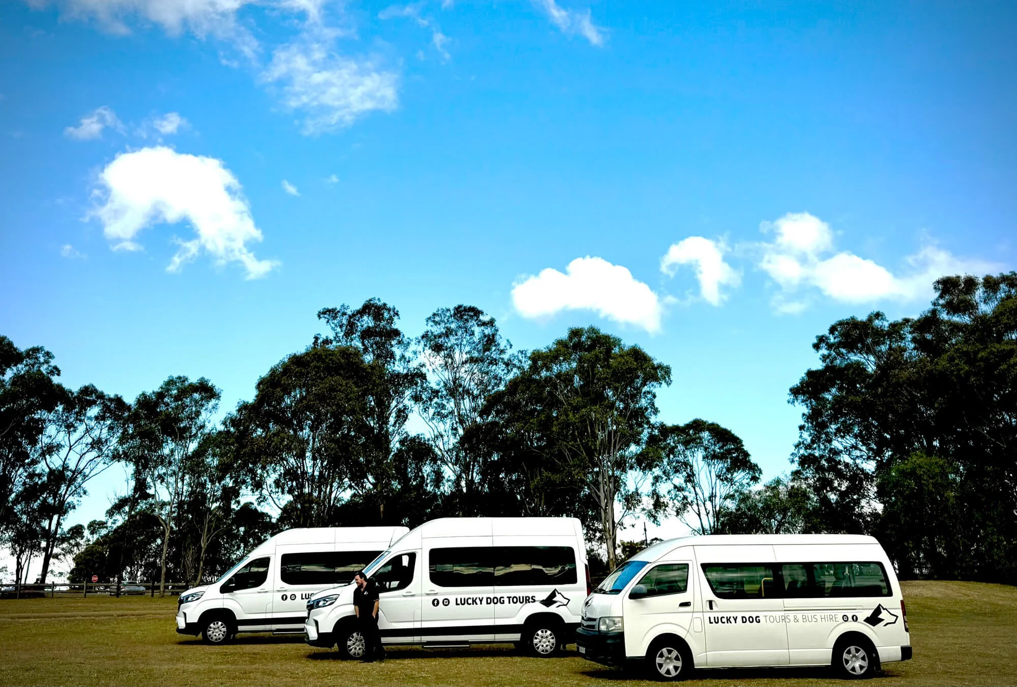 Three white tour vans with 'Lucky Dog Tours' and 'Lucky Dog Tours & Bus Hire' logos parked on grass, with a person standing in front of the middle van, set against a backdrop of tall trees and a blue sky with white clouds.