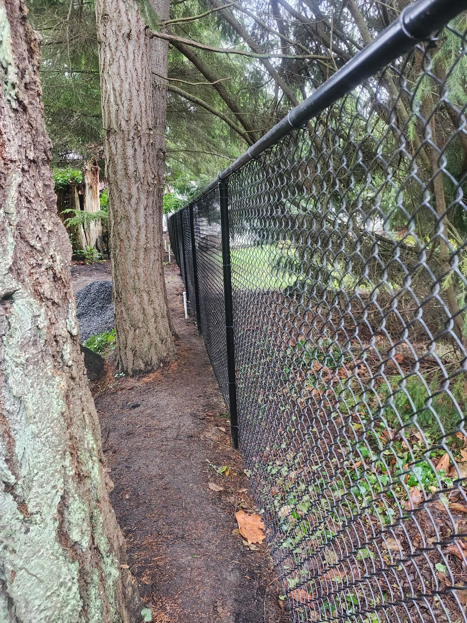 A narrow dirt pathway runs between trees on the left and a black metal chain-link fence on the right, with green grass and trees visible beyond the fence.