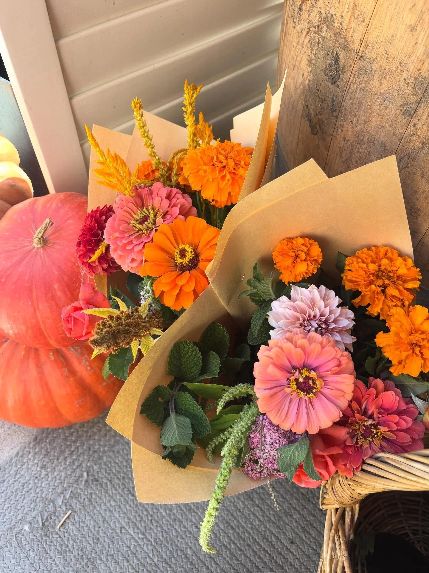🍁 Open for business! 🍁

We have lots of pretty flowers (the lisianthus is having a second flush!) as well as figs, pears, melons, artichoke, squashes, eggplant, green beans, and plenty of eggs. The orange to salmon hombre rose in the second picture