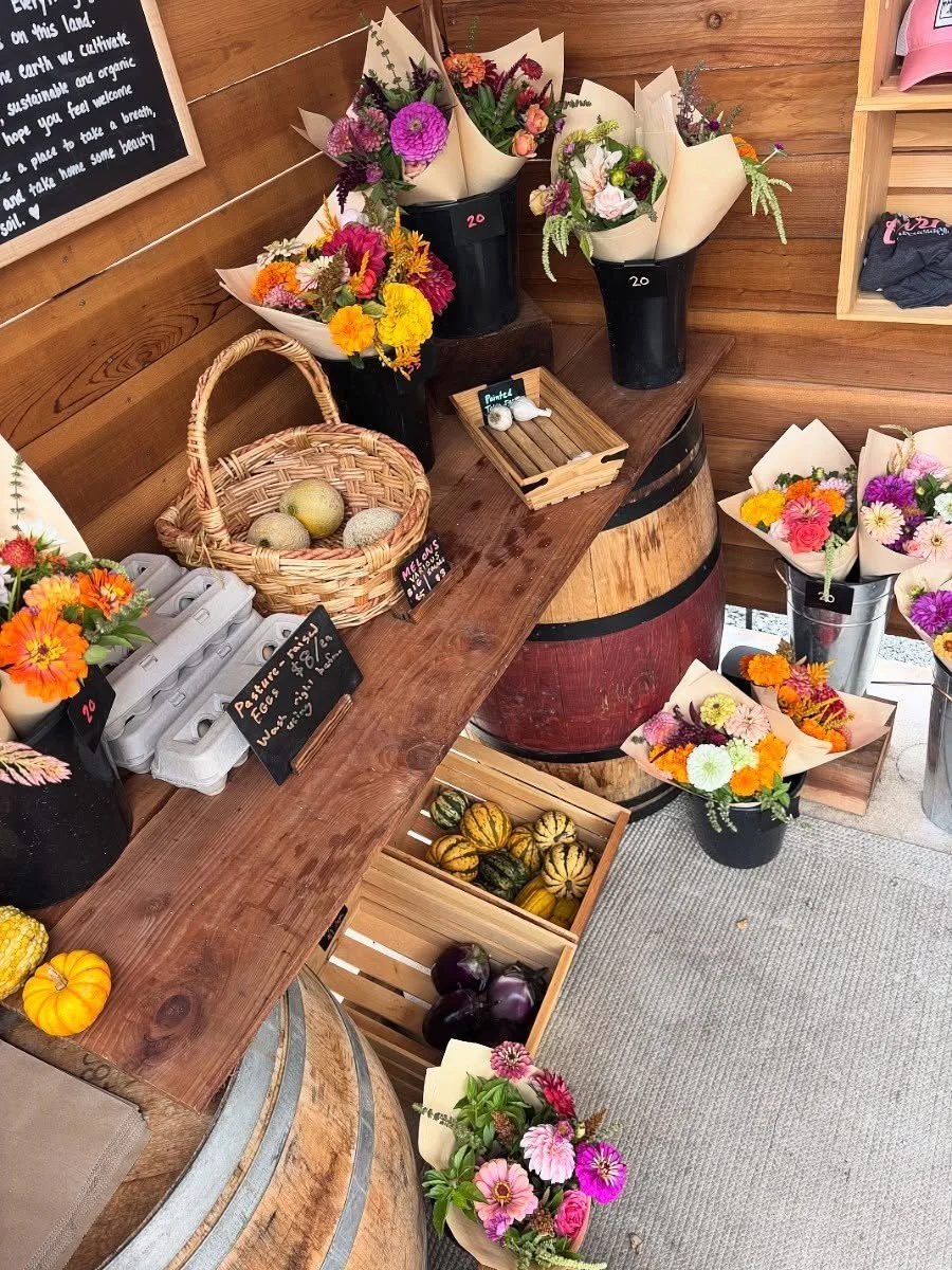 We just did a full restock this Sunday morning of flowers, eggs, figs, squash, melons, pears, and eggplant! Come on out on this cooler fall day and get some organic Gilroy-grown ingredients for butternut squash soup and grilled eggplant and fig brusc