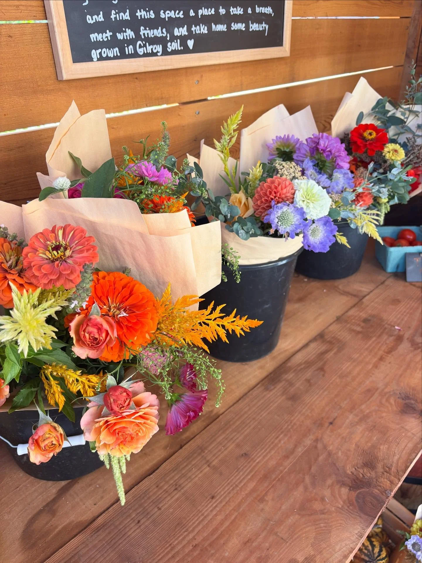 ETA: Sold Out! Thank you everyone!

Sunday Sale! All bouquets are BOGO. Come on down for great deals on flowers! 

#localflowers #shoplocal #gilroy #freshflowers #farmstand #buylocal #visitthefarm