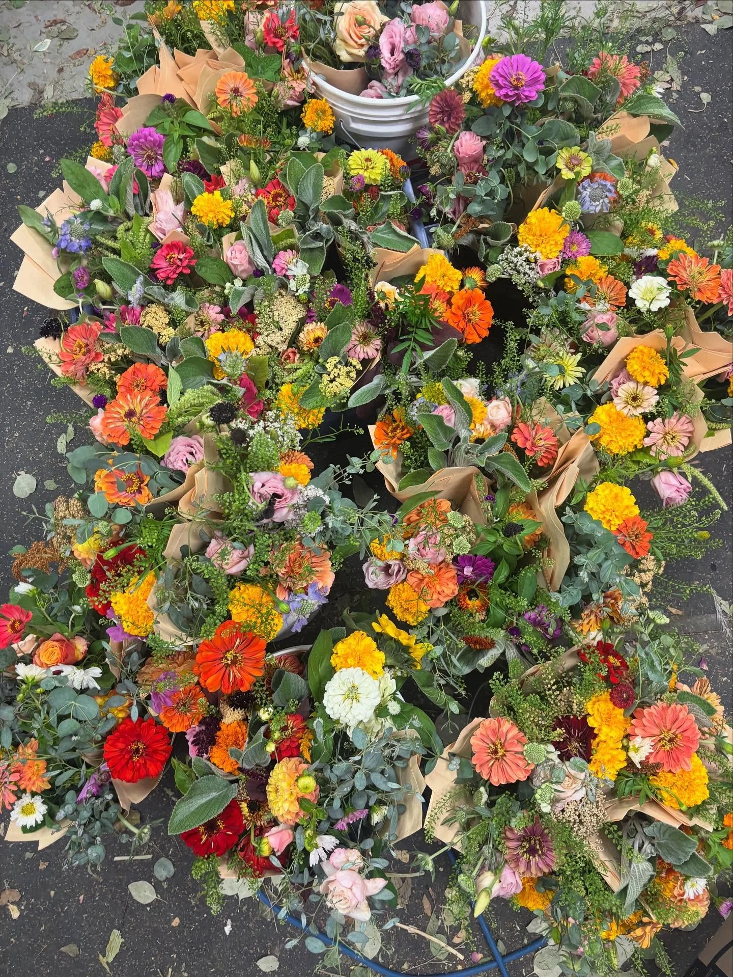 50 bouquets for a Gilroy High School band competition tomorrow! Twelve schools competing. I&rsquo;m excited our flowers get to be apart of it!
.
.
#gilroyhigh #ghs #gilroy #gilroyband #highschool #localflowers #freshflowers #paintedtablefarm