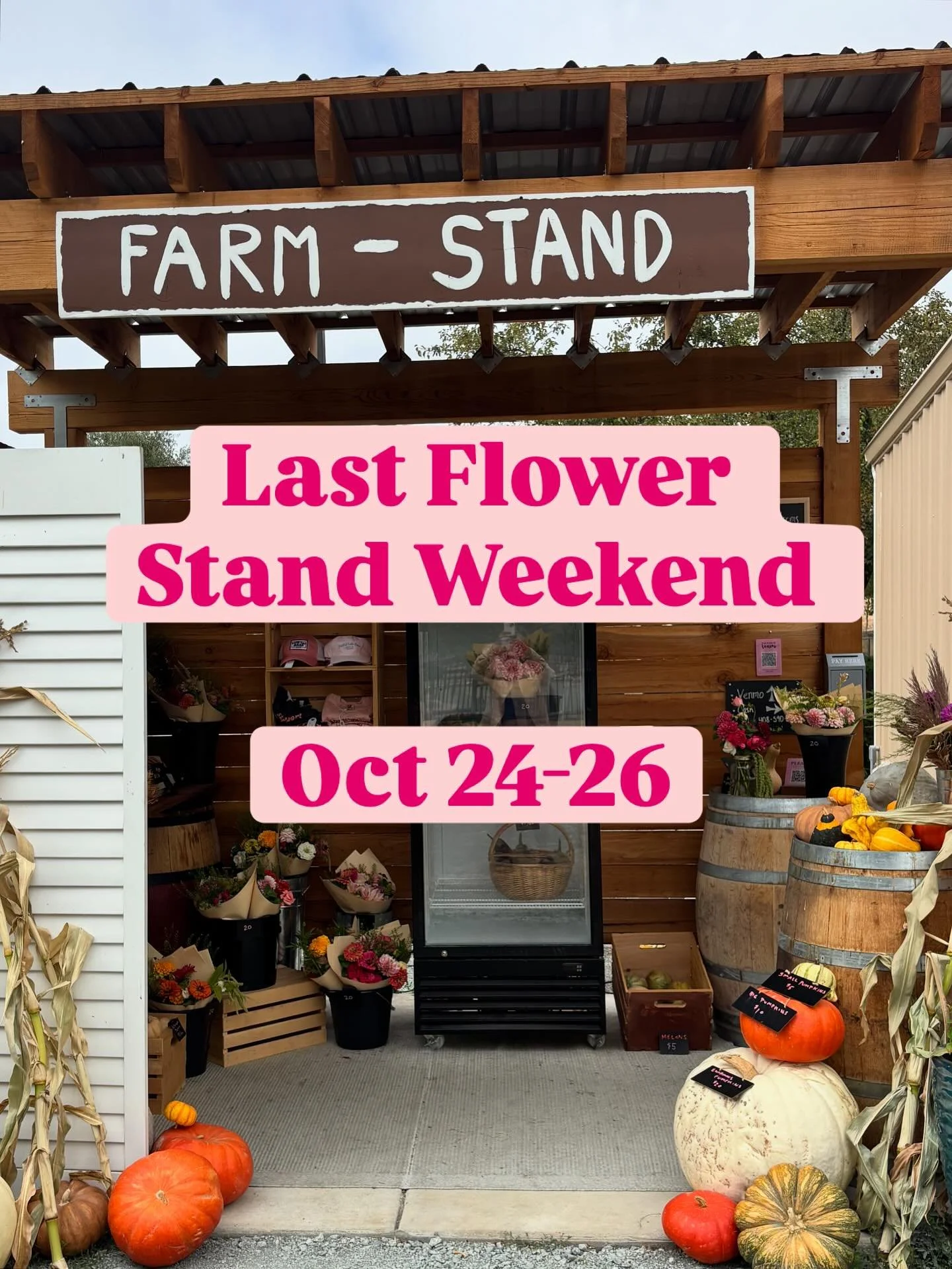 This weekend is our last weekend for farm stand flower sales! We will be open our normal hours (Friday-Sunday 8:30am - dusk). If picking up flowers has been a part of your ritual this year, this will be your last chance for a while. But if we don&rsq
