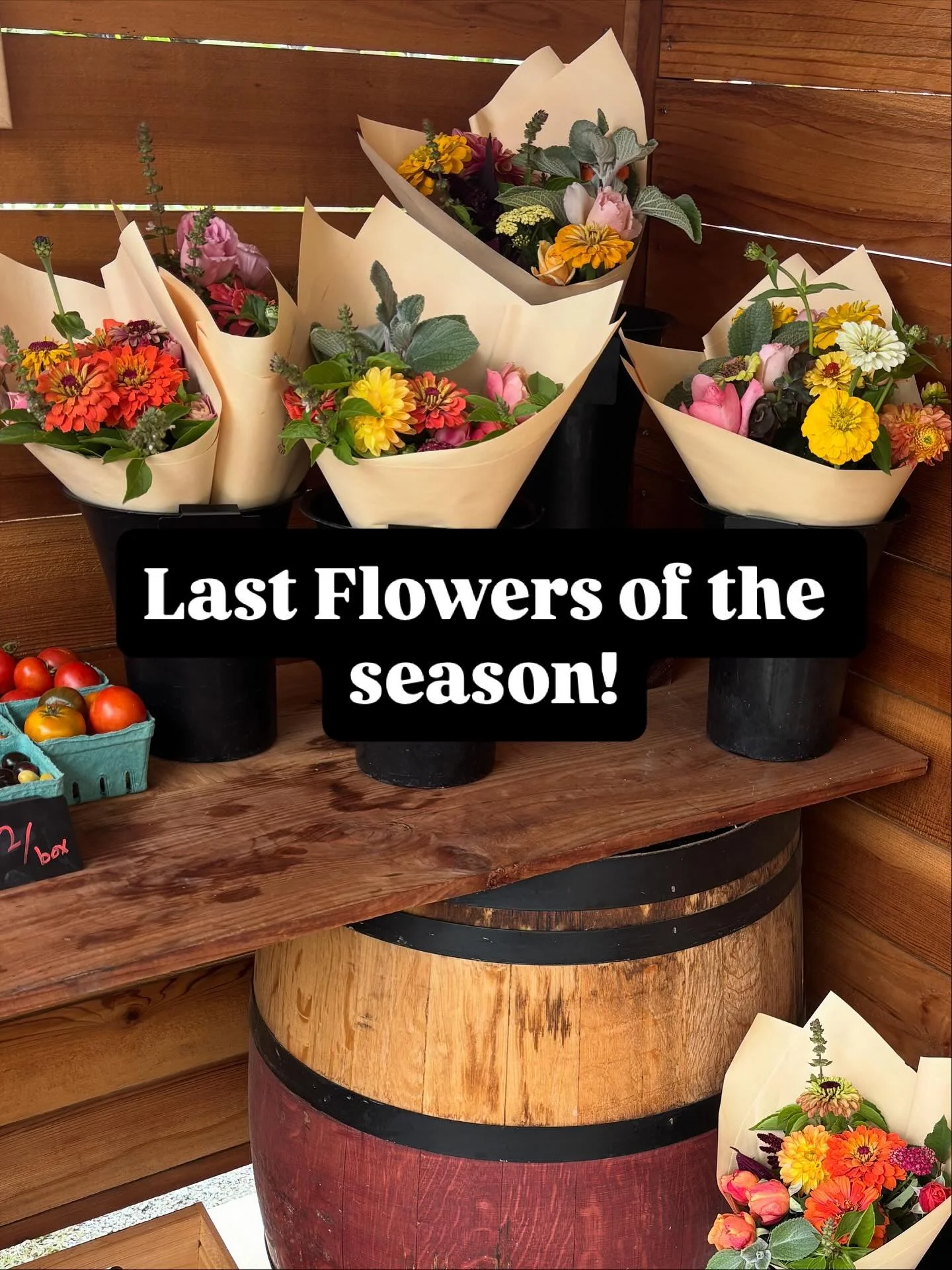 Open today and tomorrow 8:30am-dusk! We&rsquo;ve also got some tomatoes, decorative glass corn, and fuyu persimmons. Love to you all! #farmstand #localflowers #gilroy #farmfresh #fallactivities #paintedtablefarm