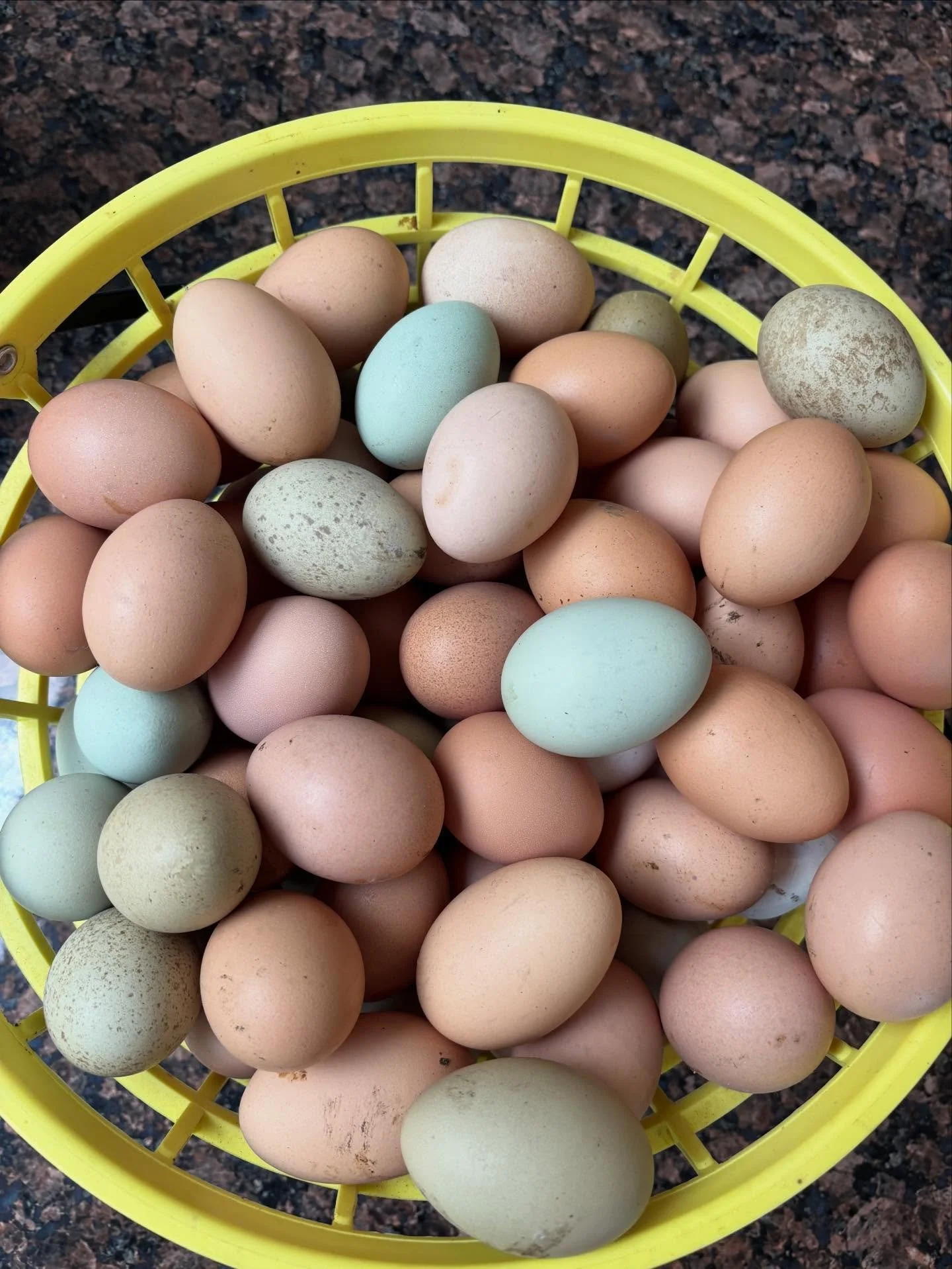 We may not have flowers through the winter but we still have eggs available! Pick up at the farm stand. We generally have plenty set out, but if you&rsquo;d like, you can message me first to make sure we have them. 
.
.
#farmfresheggs #chickenfarm #g