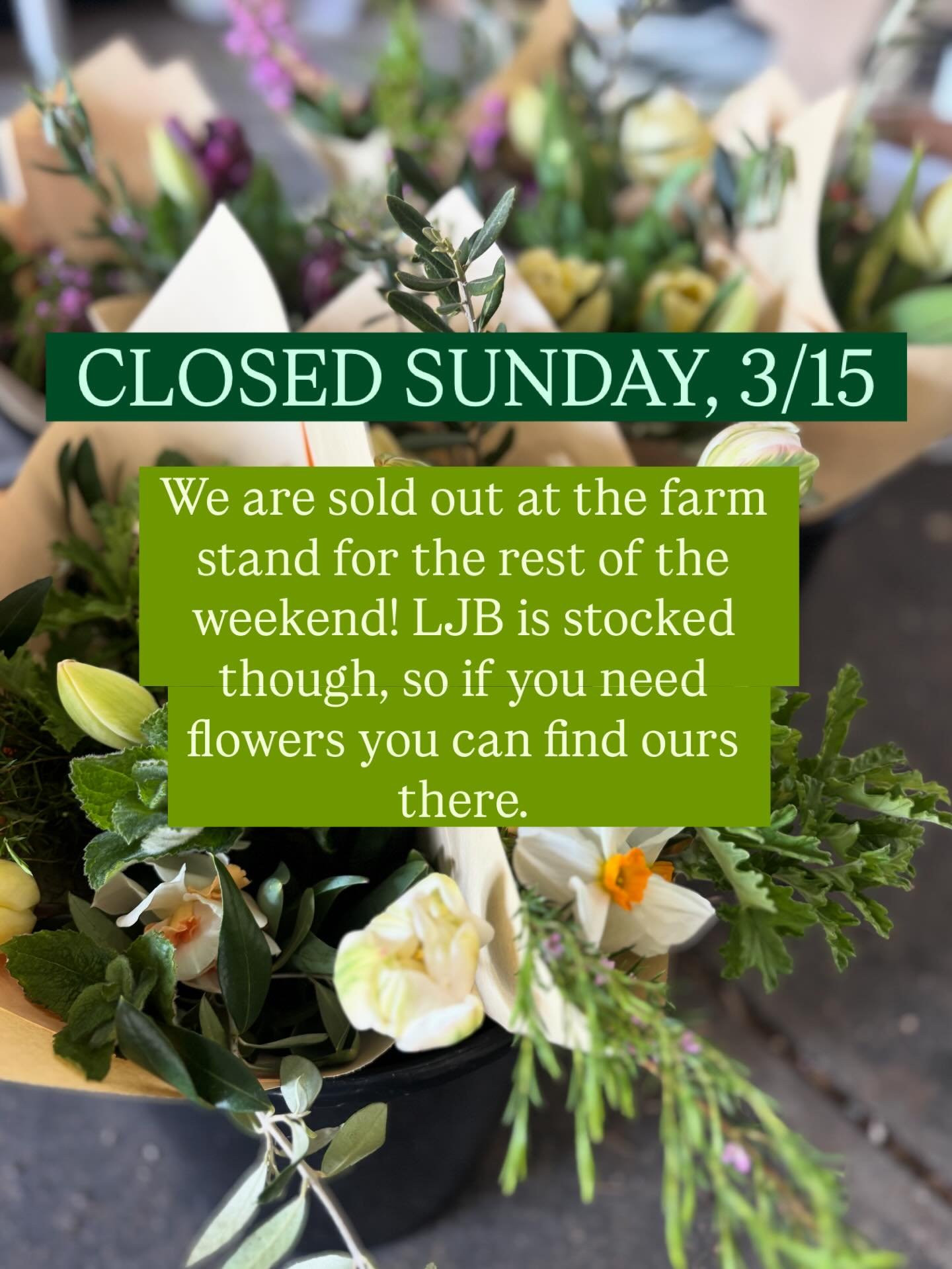 We are plum out of flowers at the farm stand today, but if you need spring blooms, our bouquets are still stocked @ljbfarms. #ljb #paintedtablefarm #farmstand #springtulips #gilroyflowers
