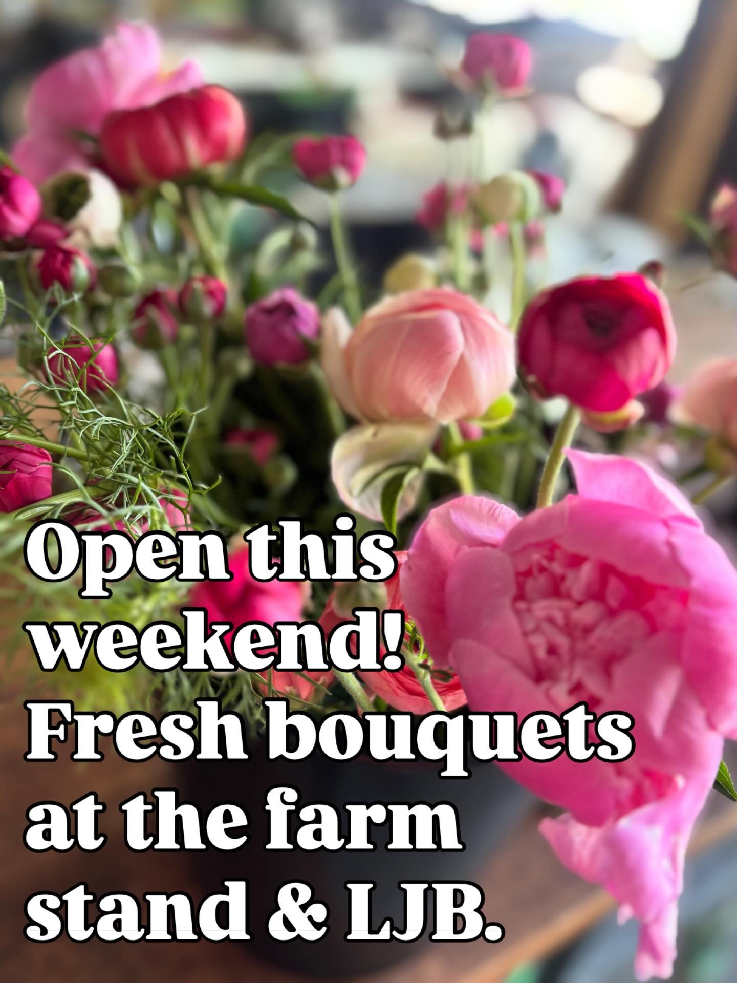 Tulips may be over but the holy trinity of spring has made its debut. Ranunculus, roses, and peonies! (Peonies in limited quantities&hellip; I tried not to cut my first year peony plants much but I couldn&rsquo;t help snipping a few.) You can find ou